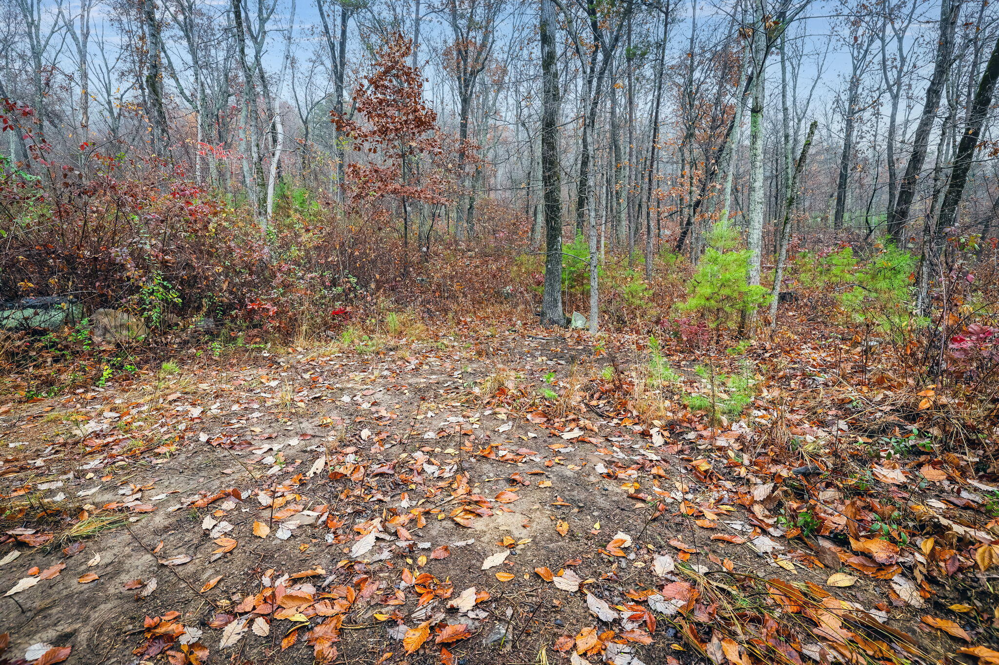 8037 Rocky Ledge Drive