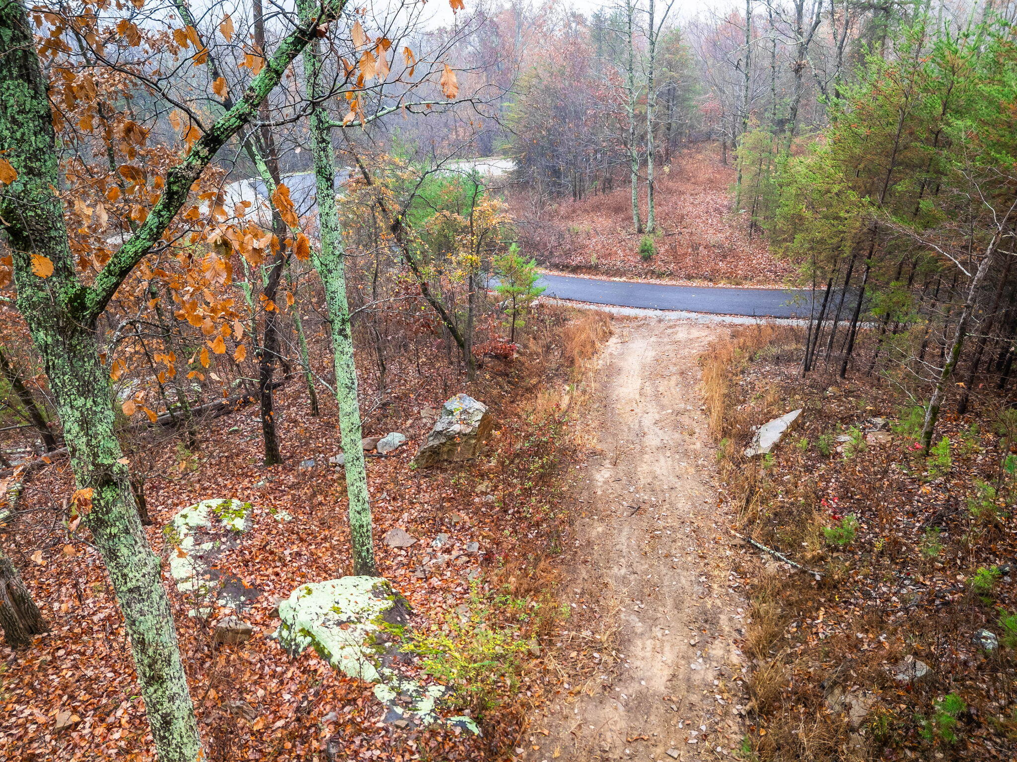 8037 Rocky Ledge Drive