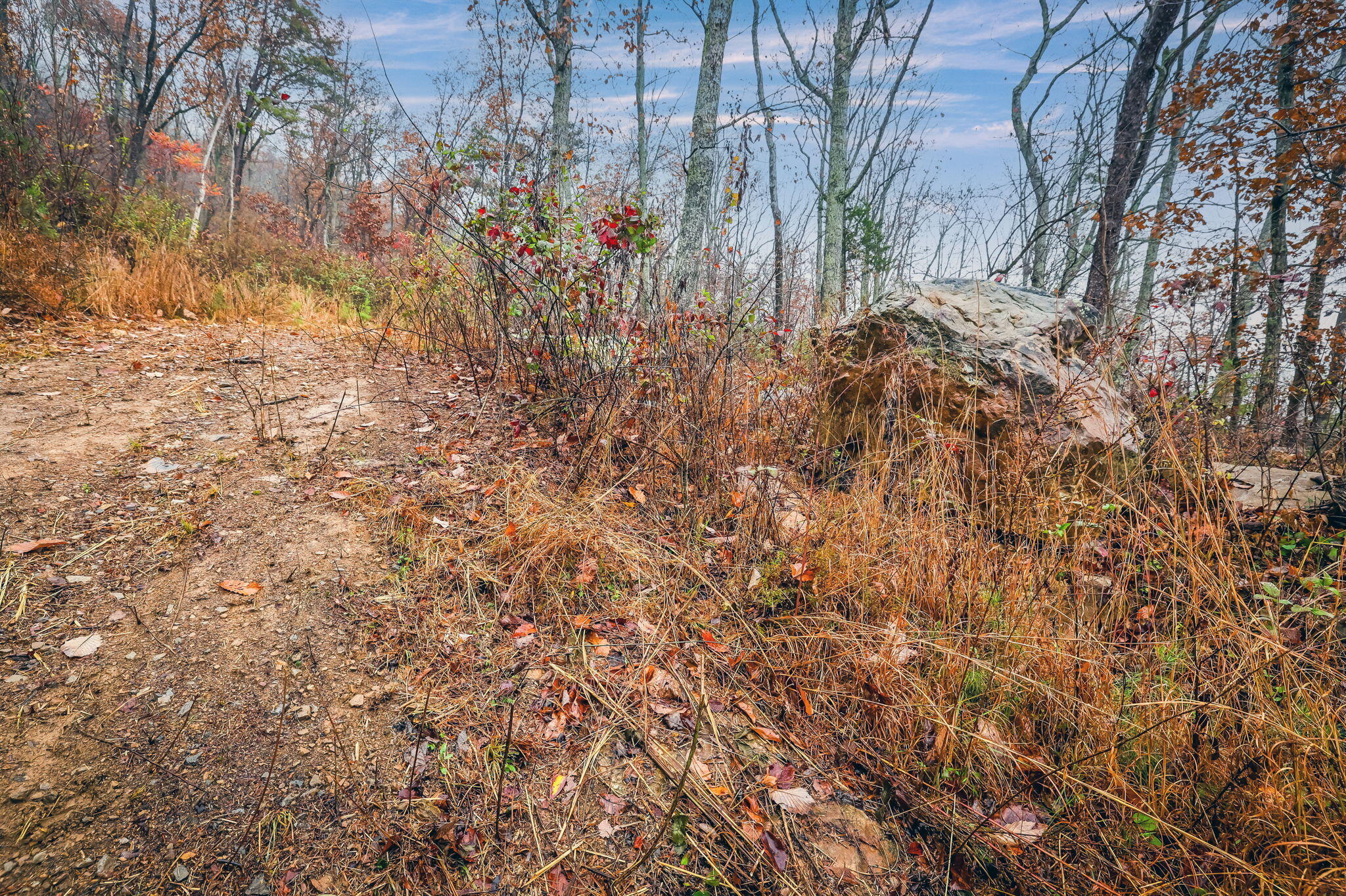 8037 Rocky Ledge Drive