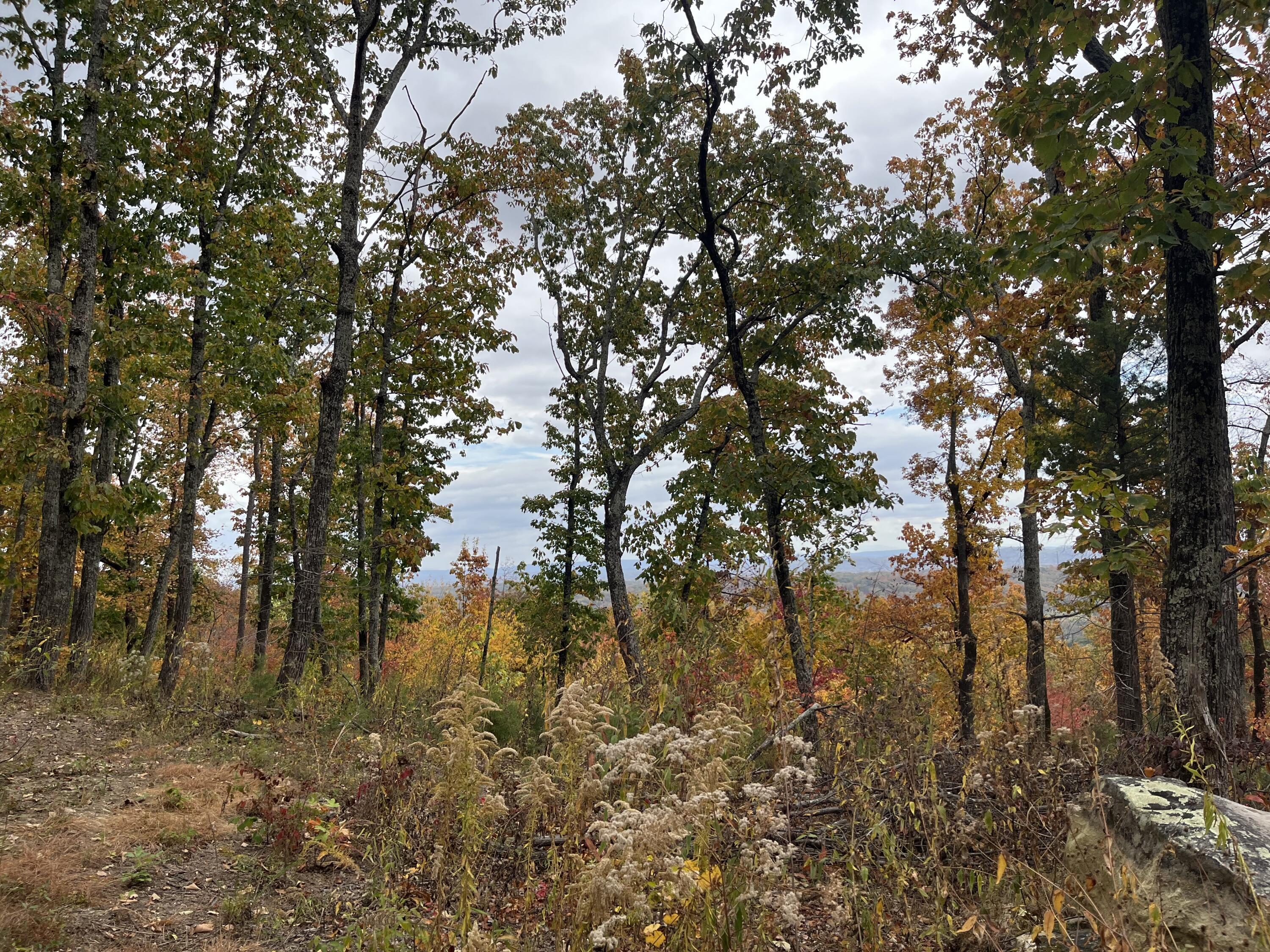 8037 Rocky Ledge Drive