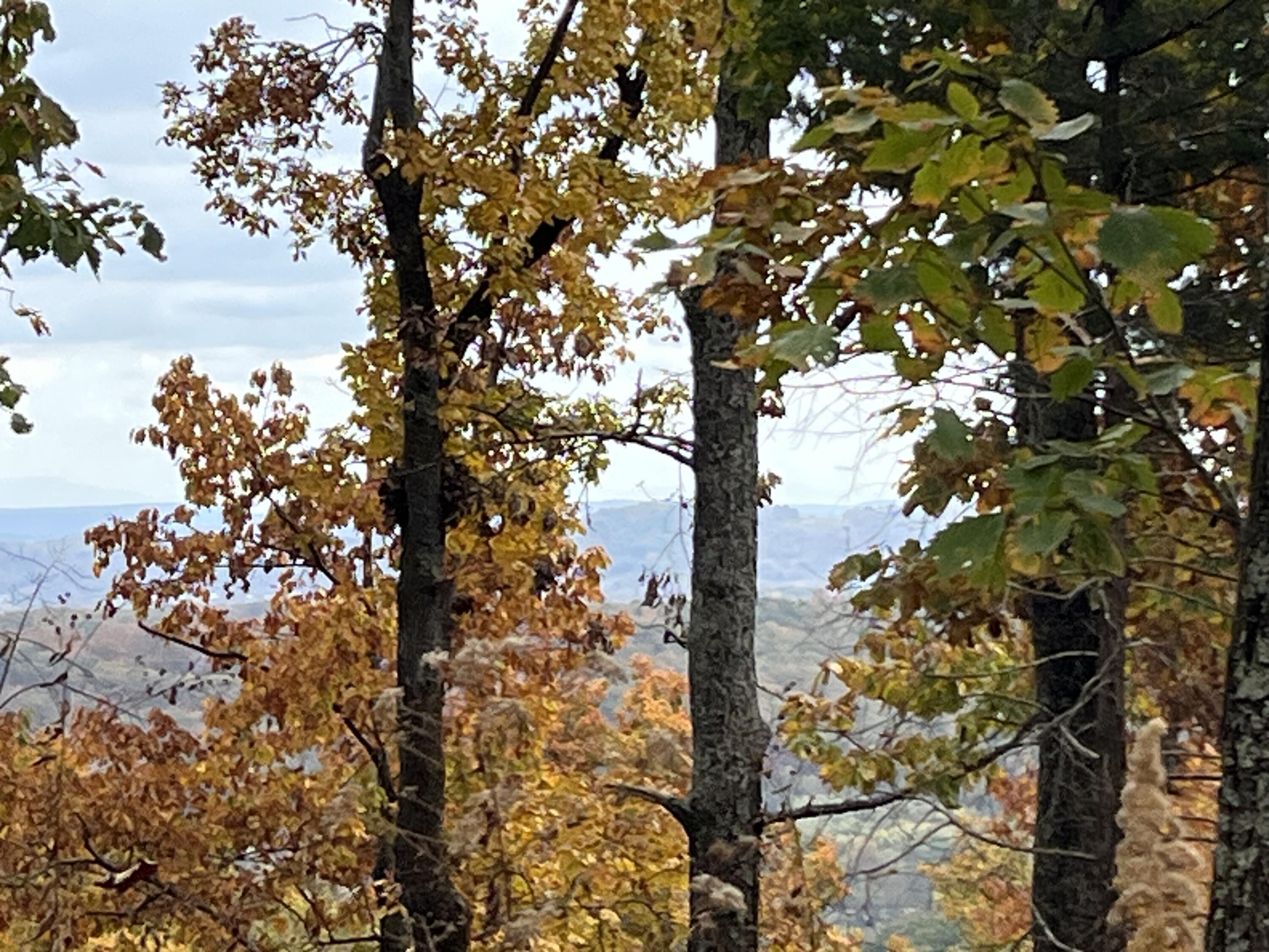 8037 Rocky Ledge Drive