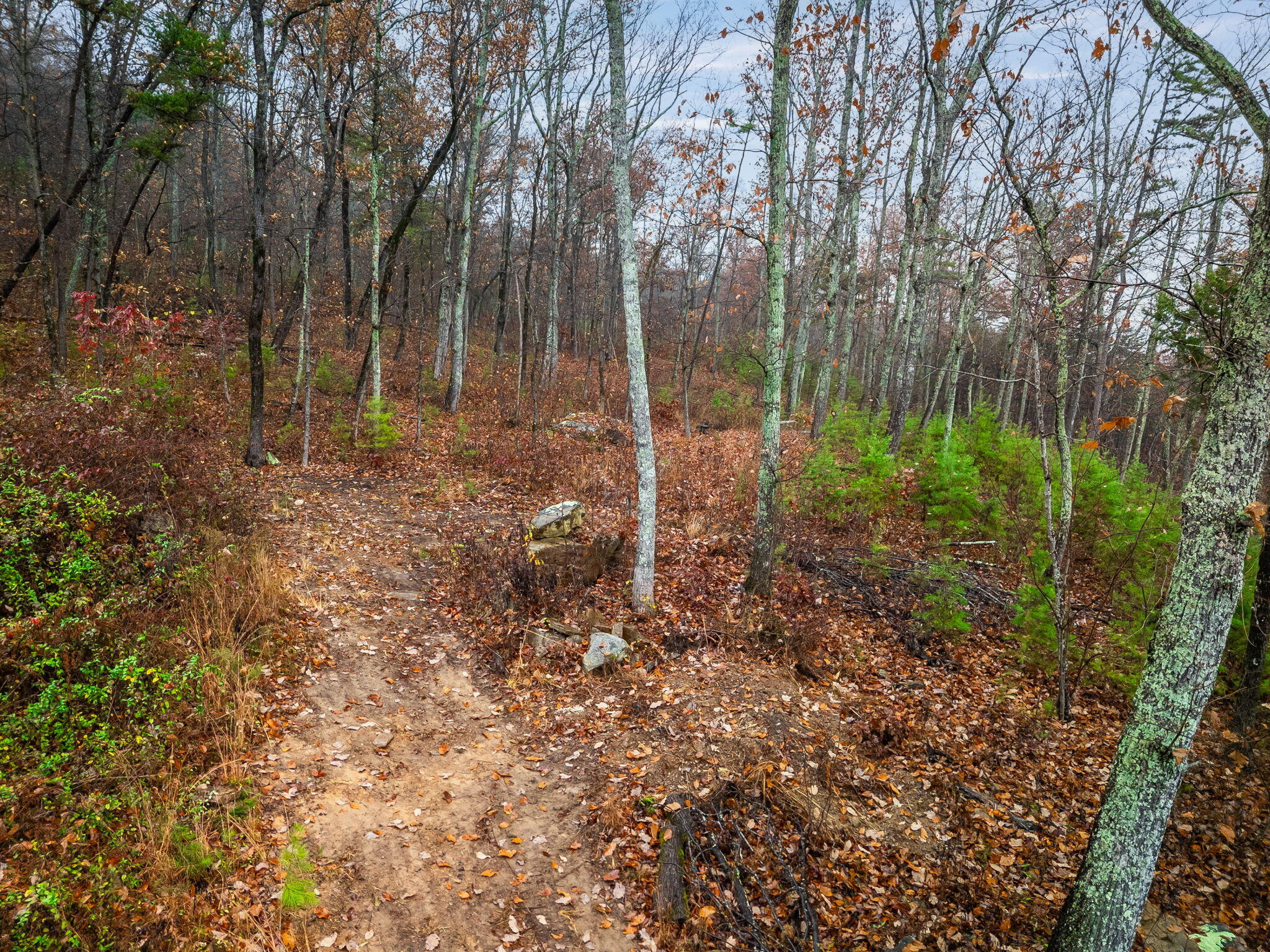 8037 Rocky Ledge Drive