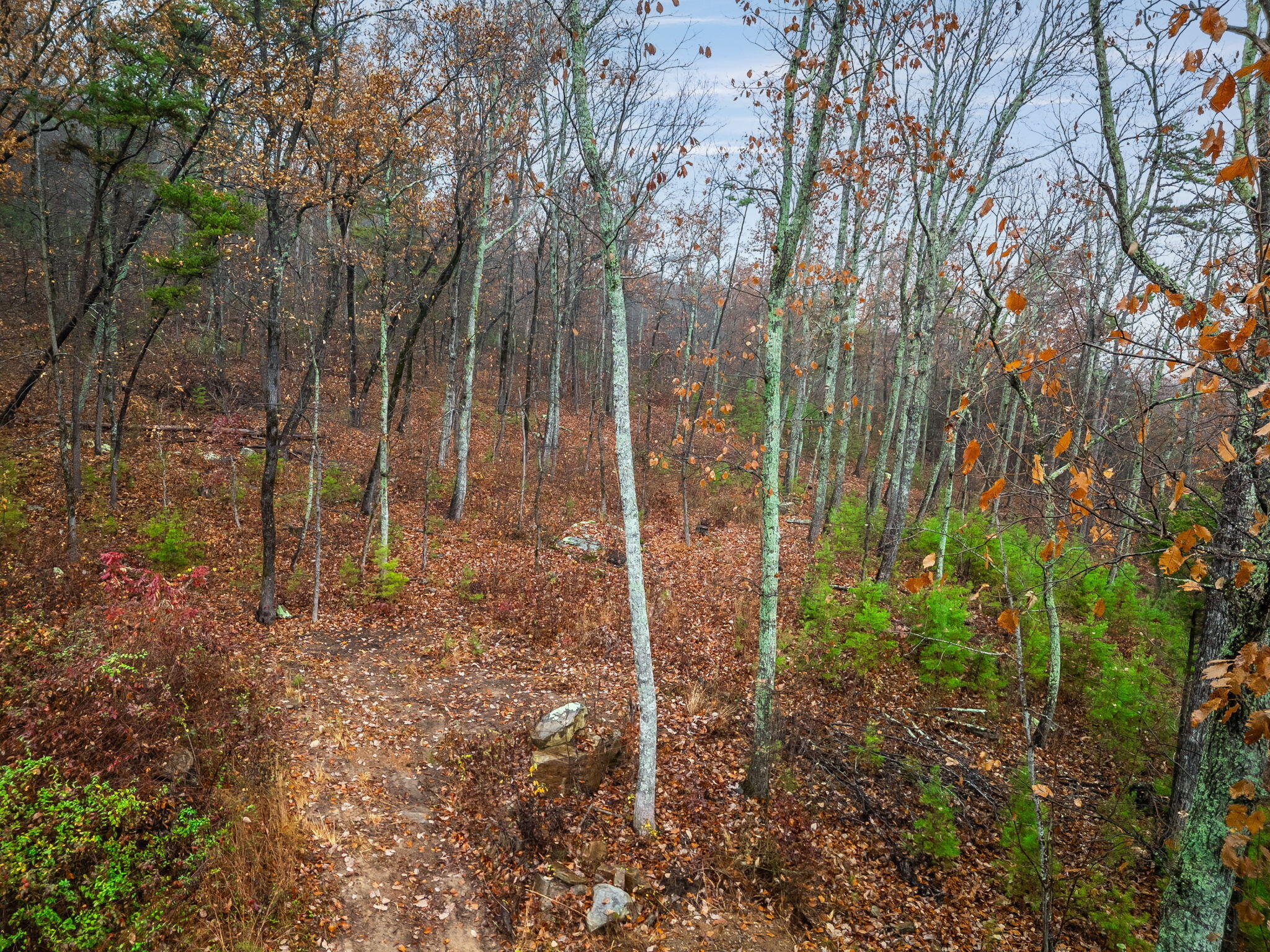 8037 Rocky Ledge Drive