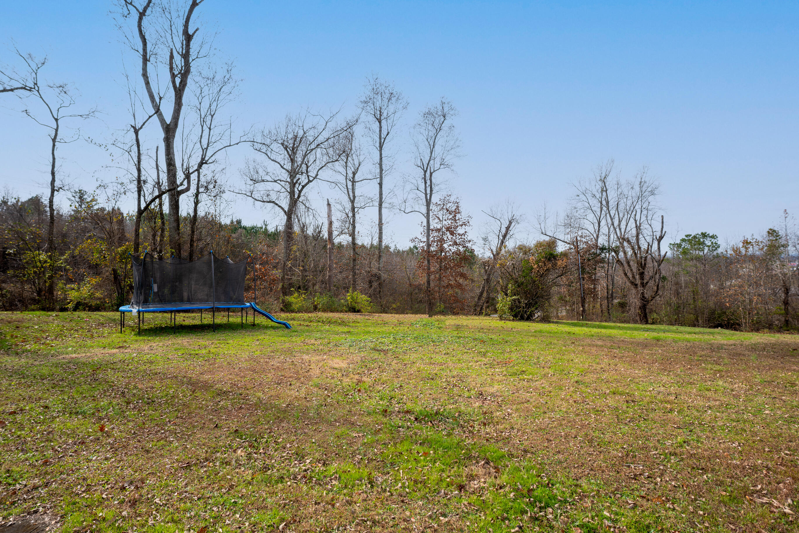 8009 Shallowford Road