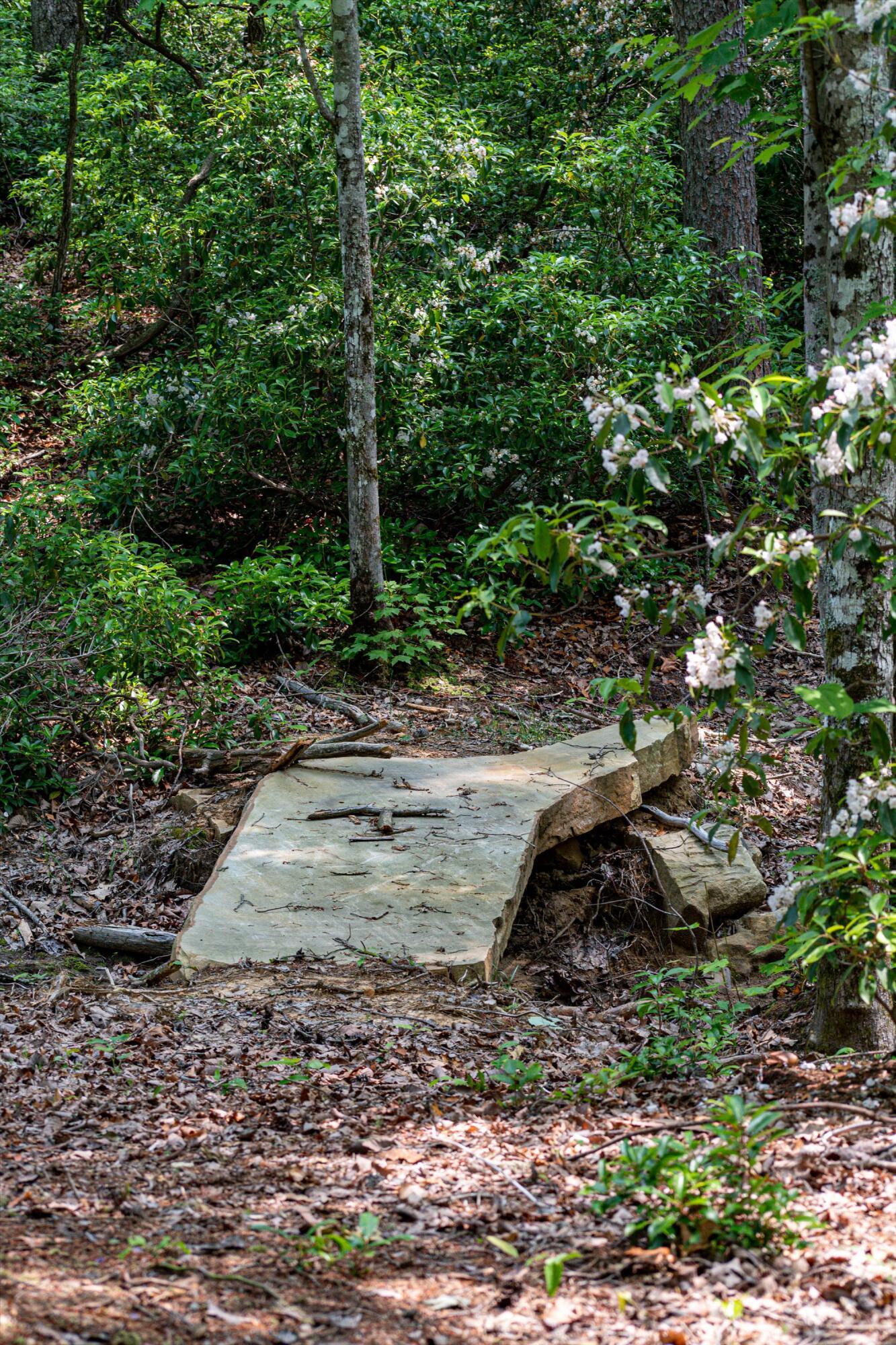 110 Falls Lane