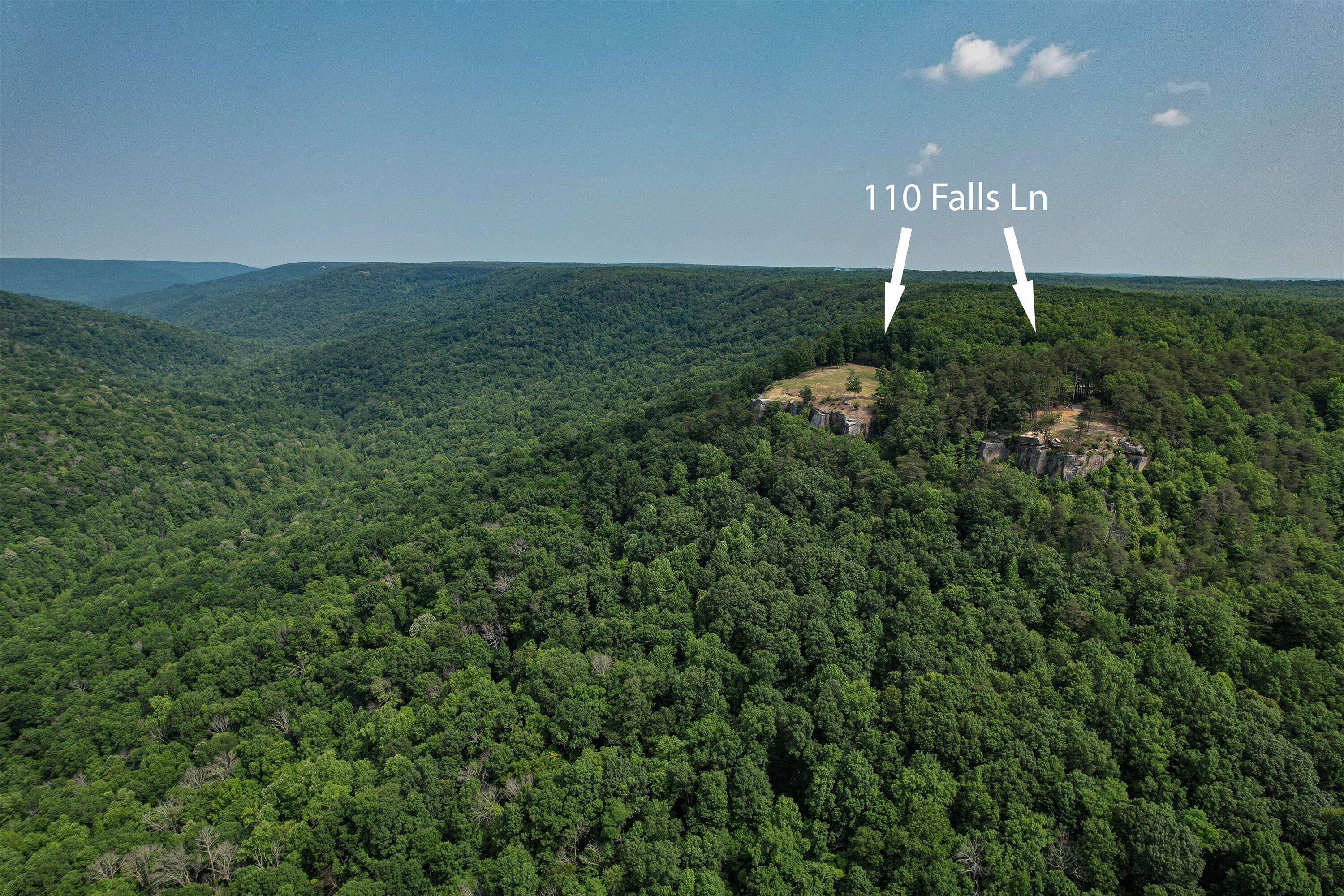 110 Falls Lane