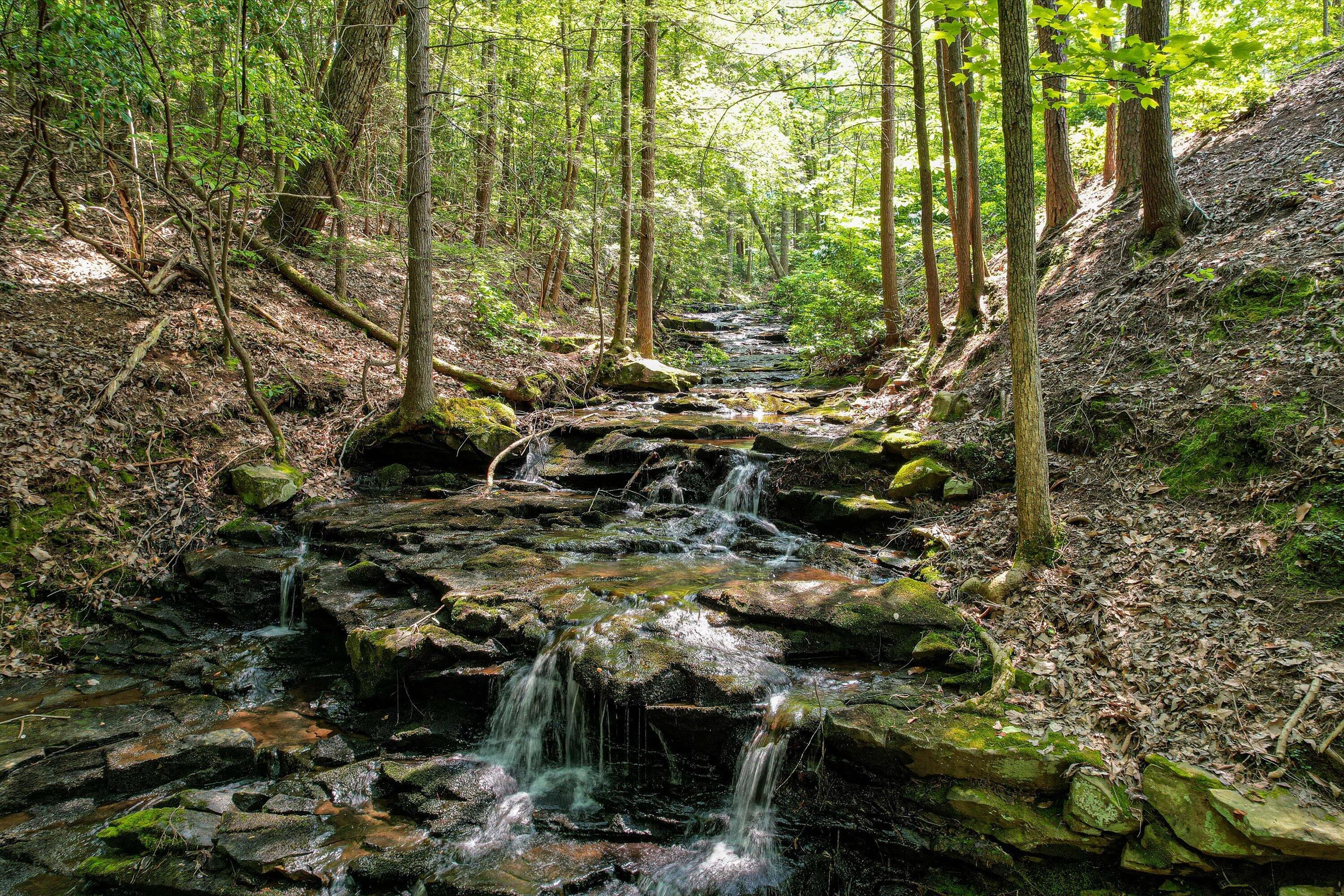 110 Falls Lane