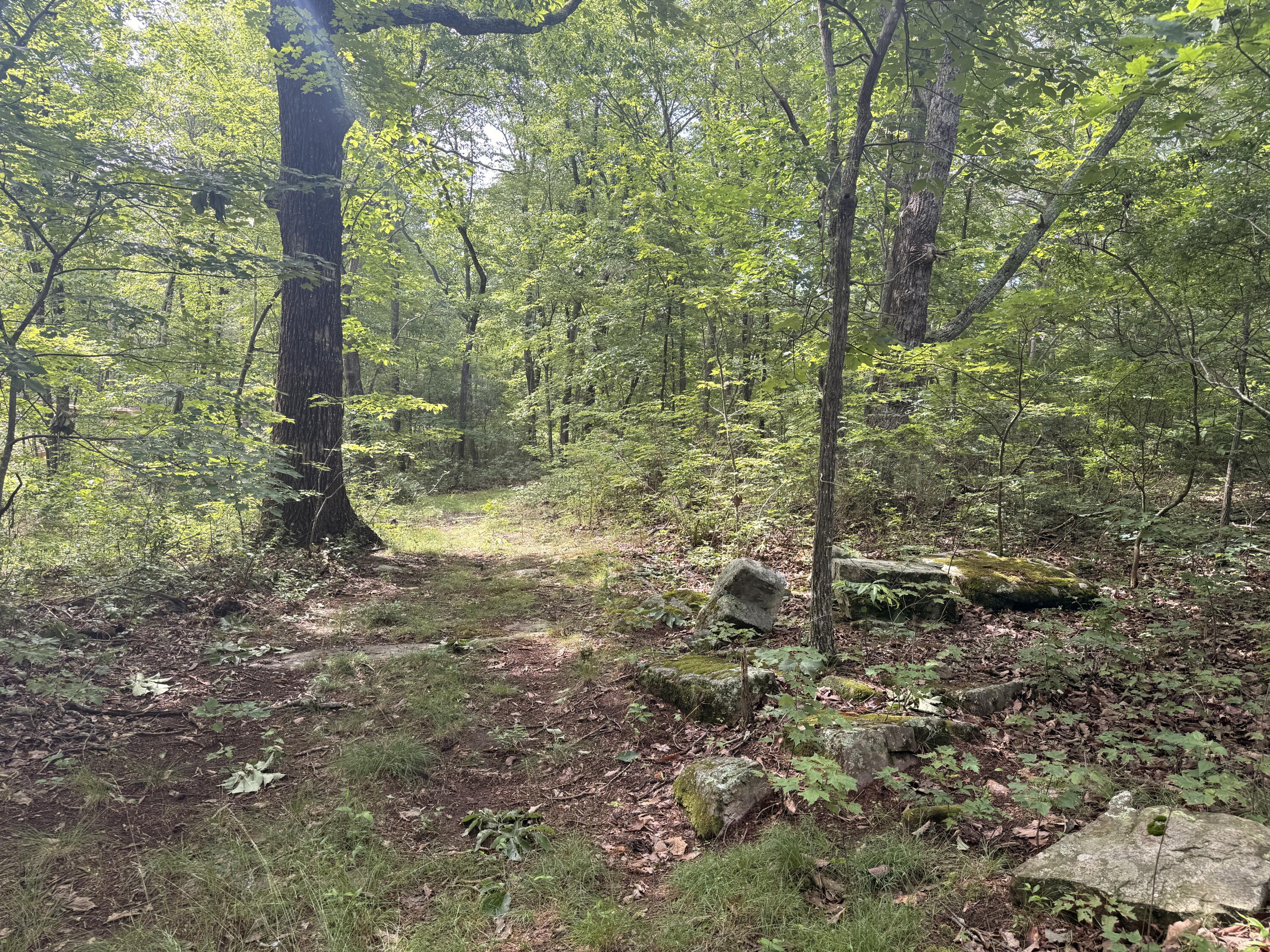 0 Tatum Gulf Road