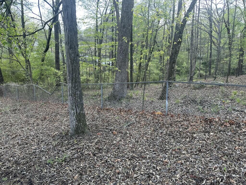 206 Glenn Street, LaFayette