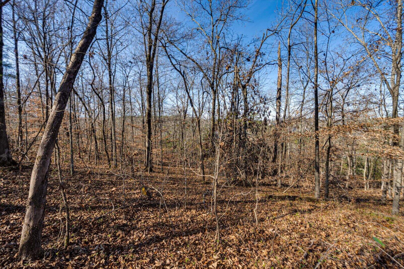 5831 Hunter Road