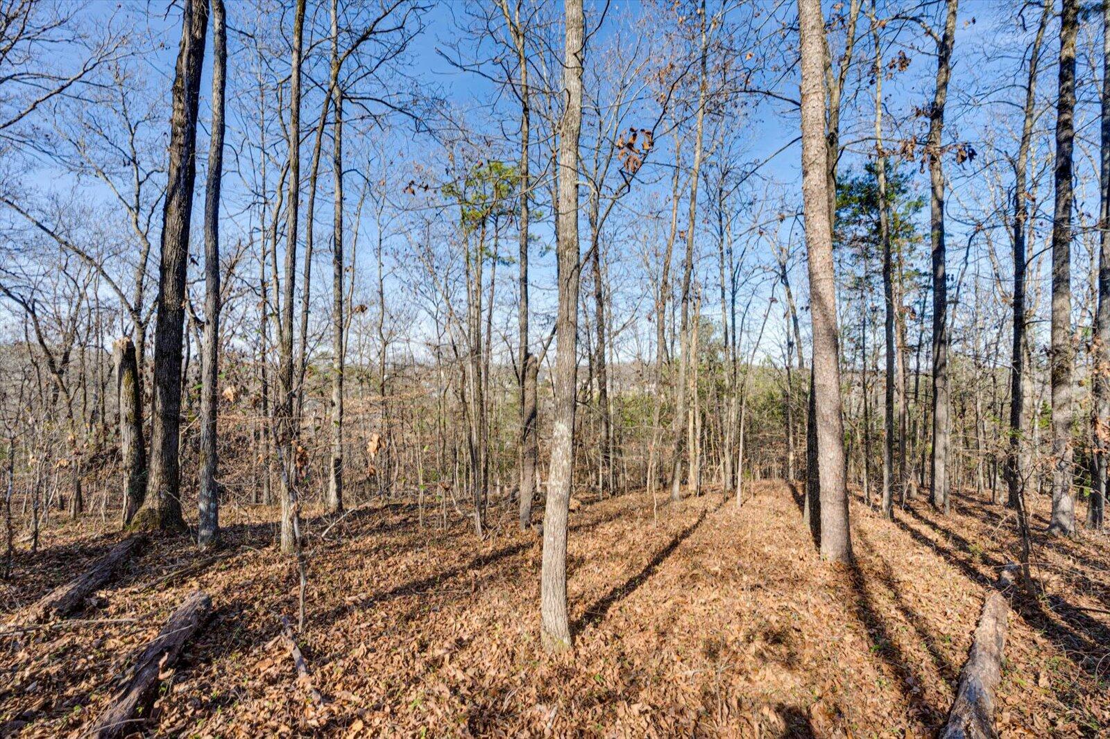 5831 Hunter Road