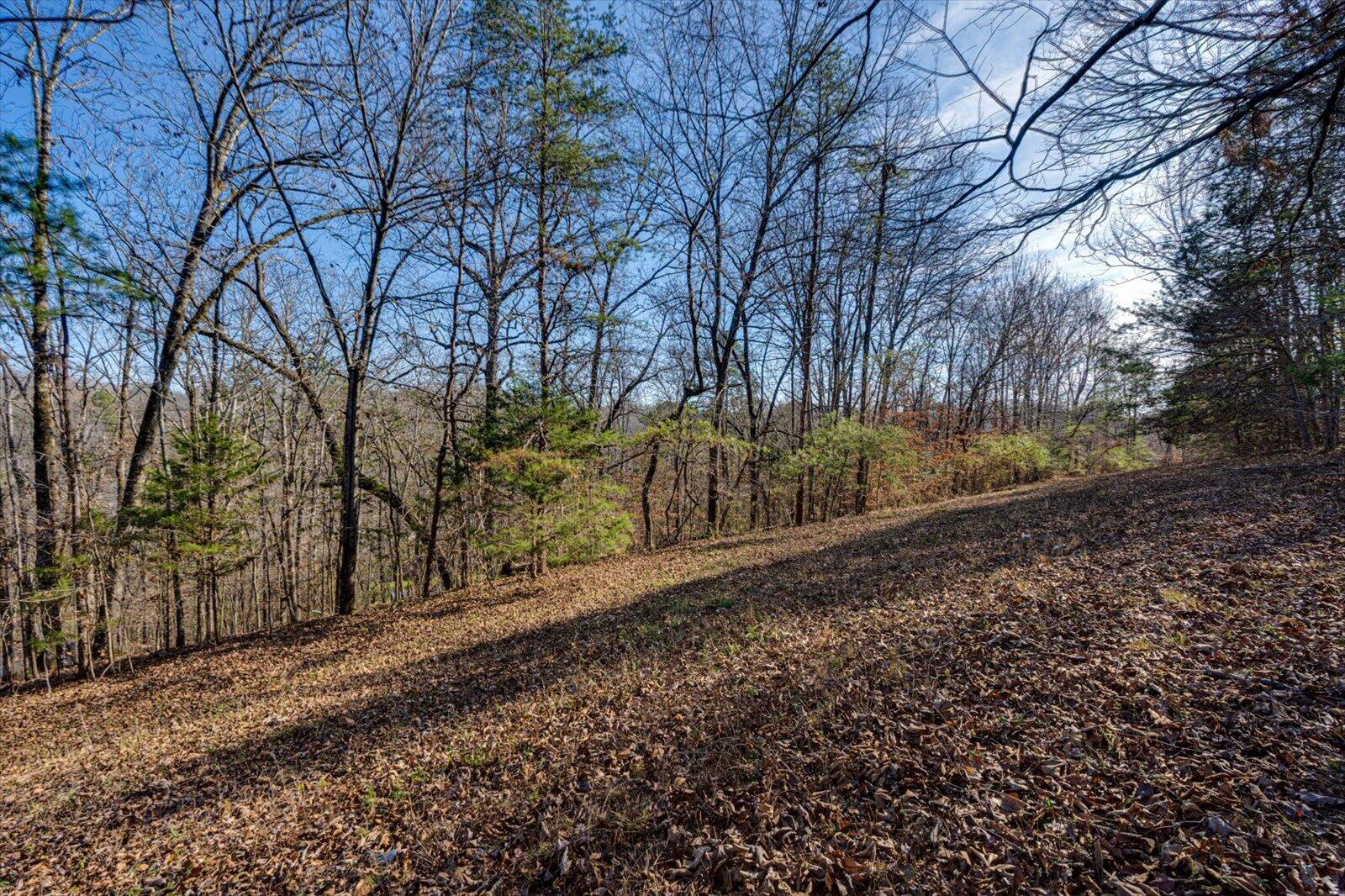 5831 Hunter Road