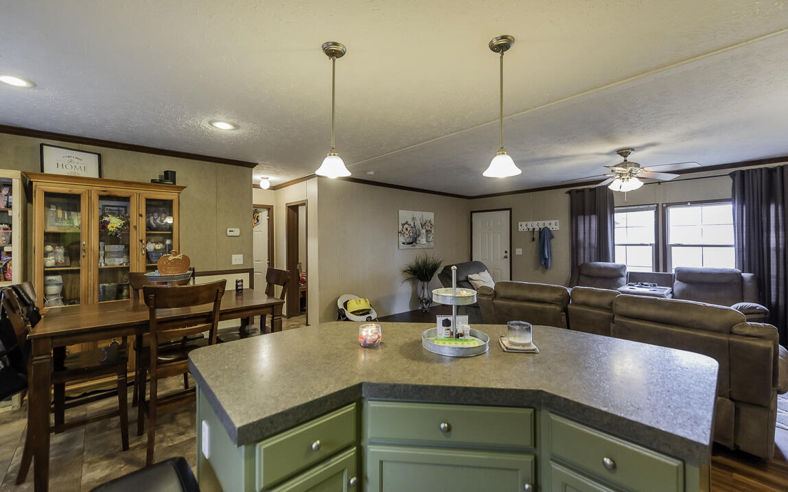 250 Appaloosa Drive, 95