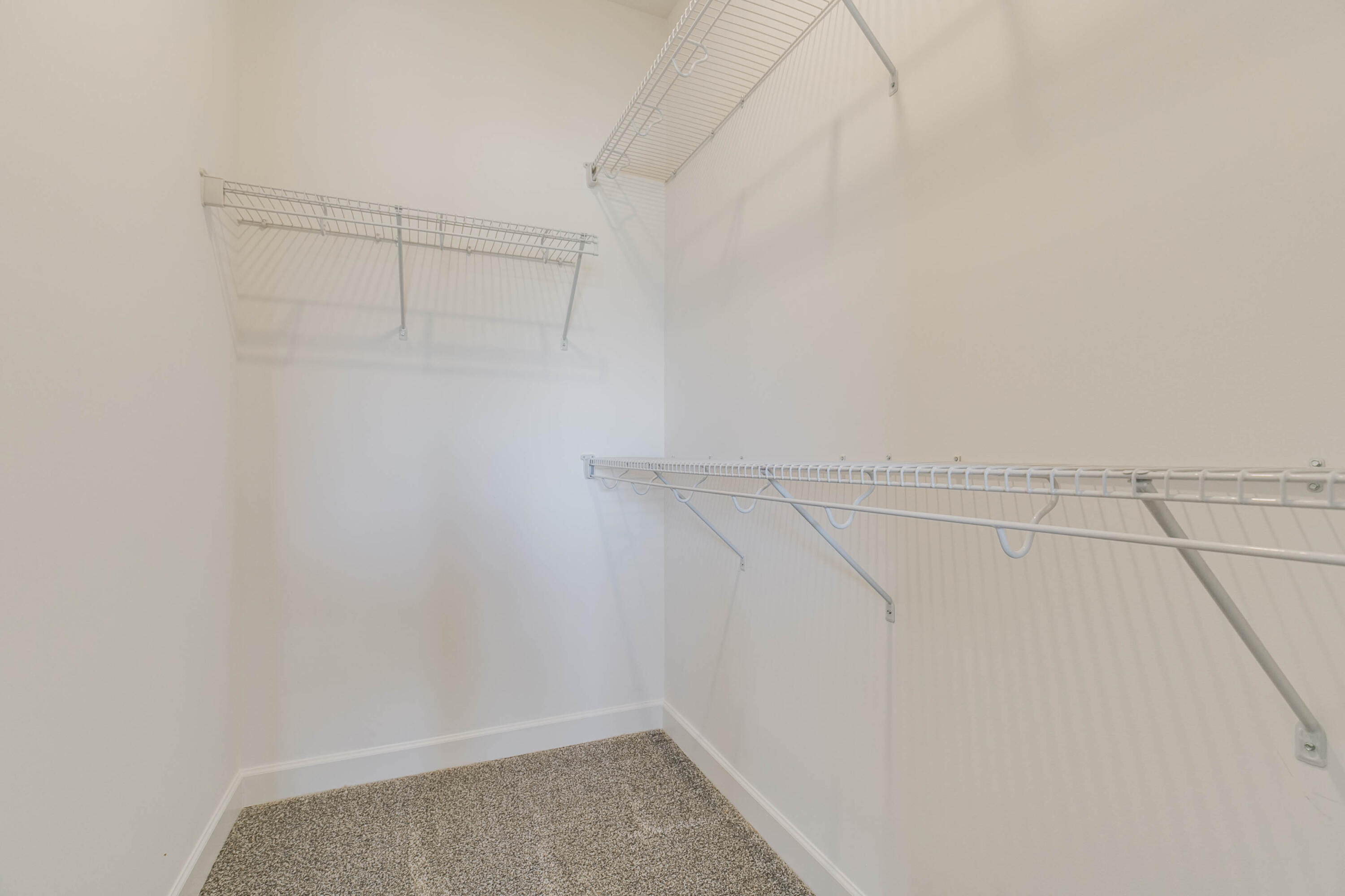 1003 Fortitude Trail