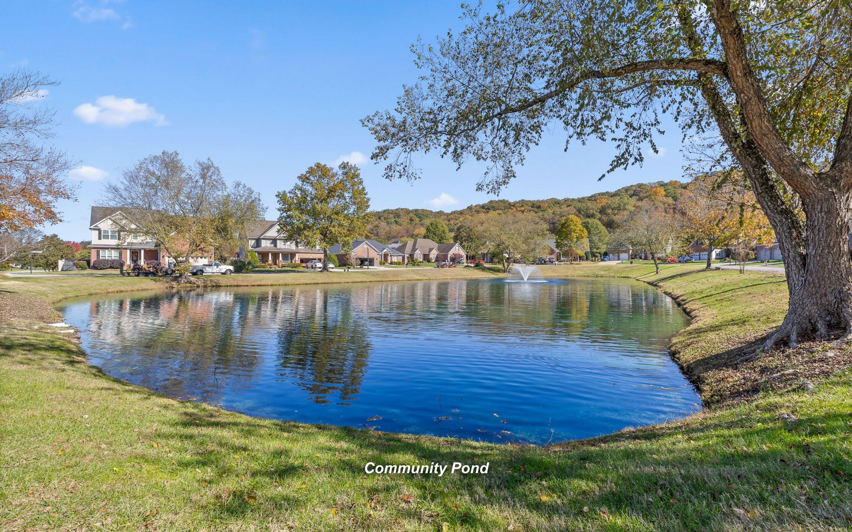 881 Lynnstone Drive