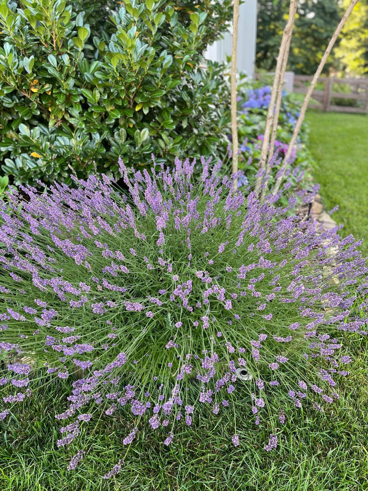 2819 Signal Farms Lane