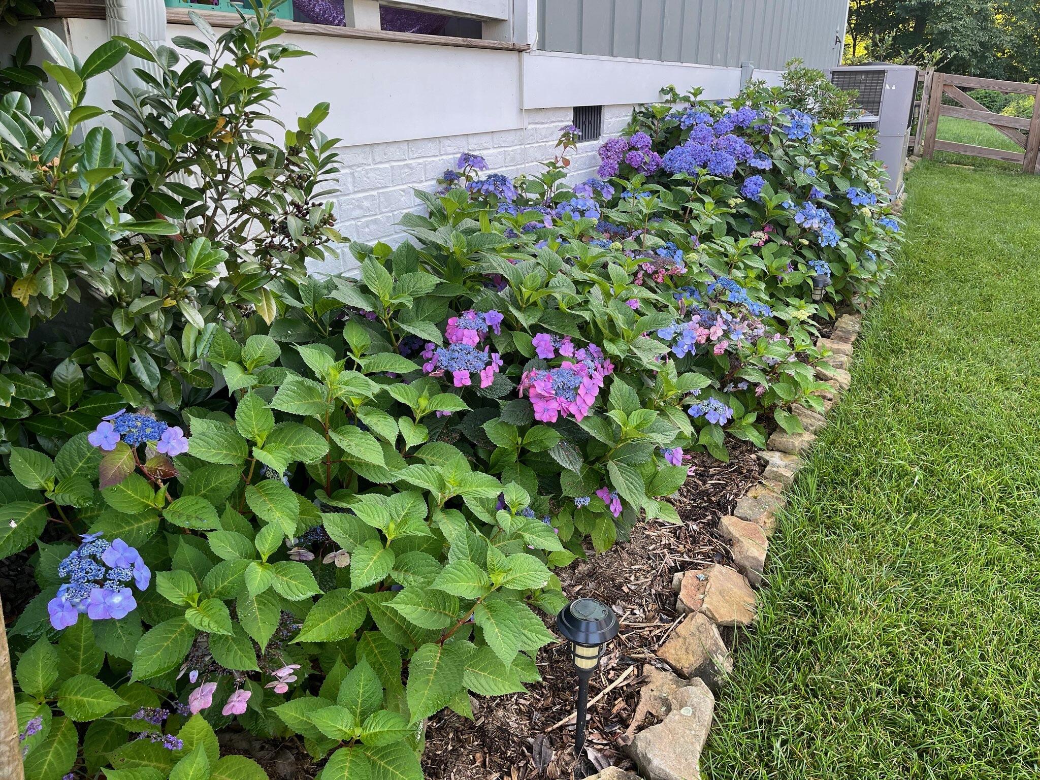 2819 Signal Farms Lane