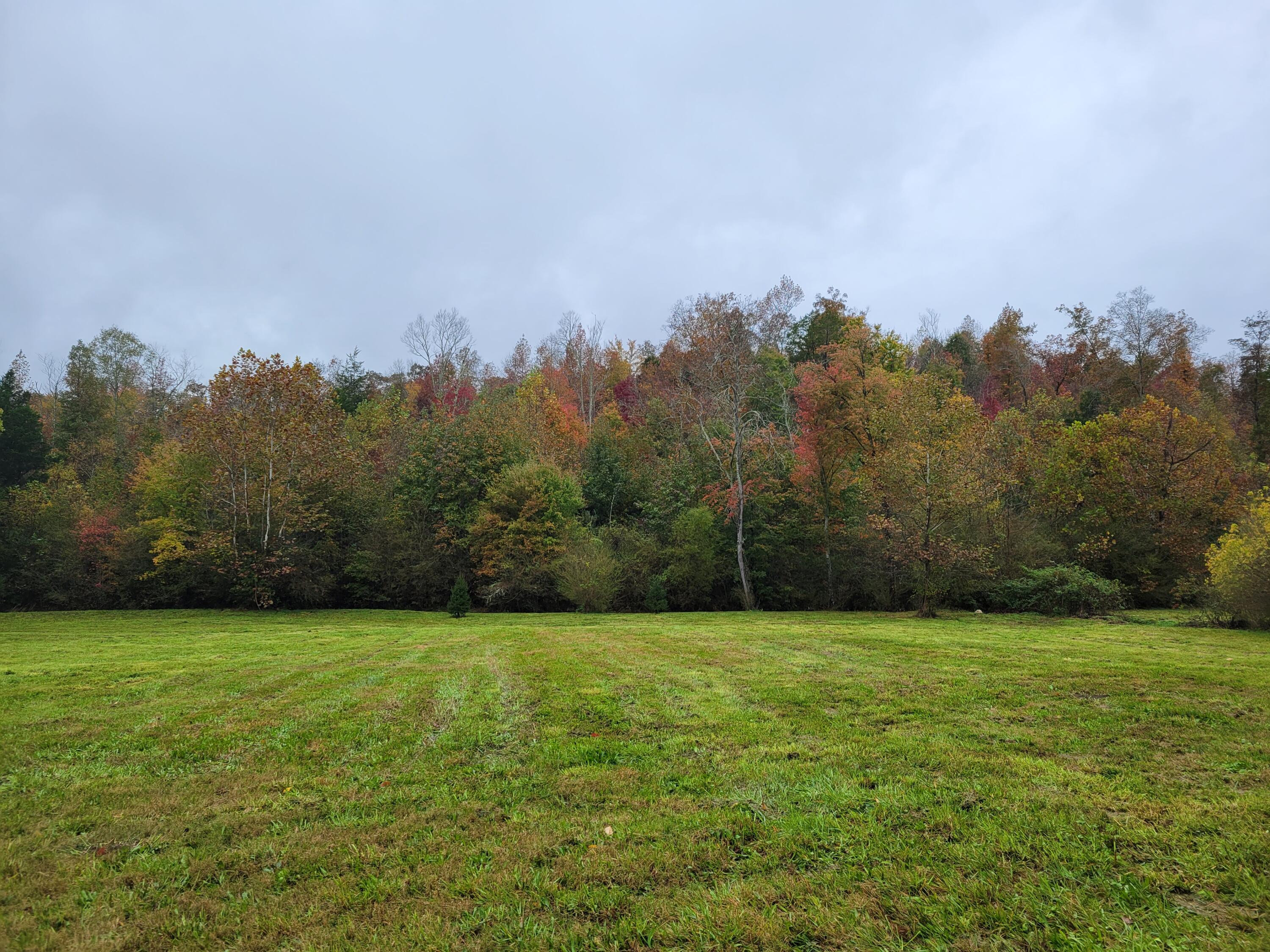 6500 Grasshopper Road