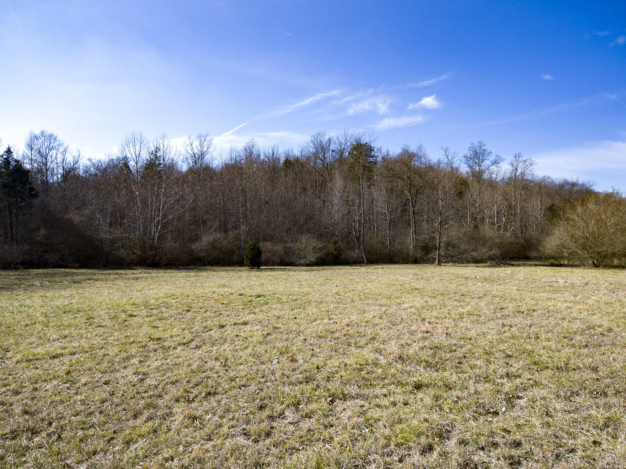 6500 Grasshopper Road