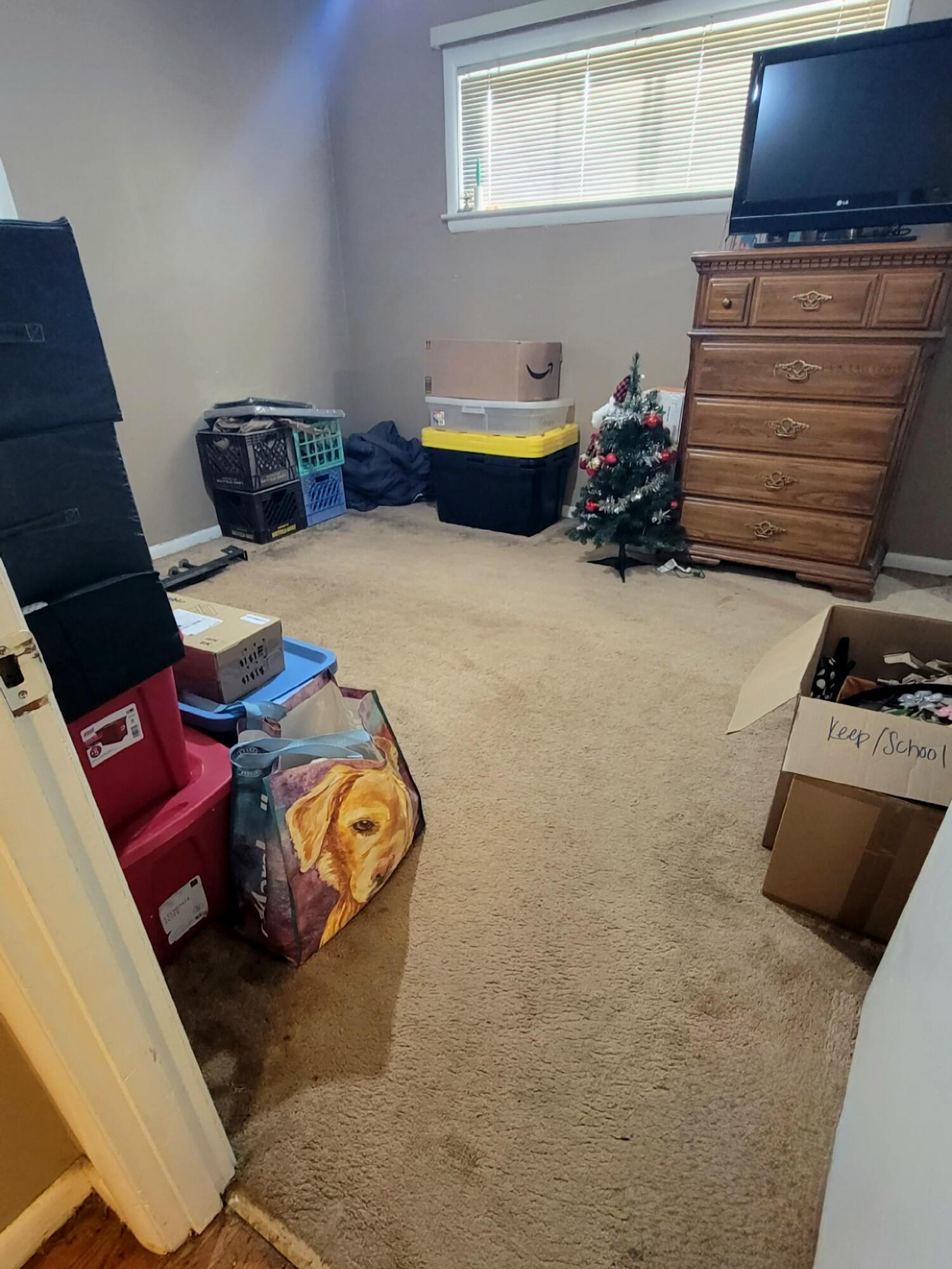1218 Cranbrook Drive