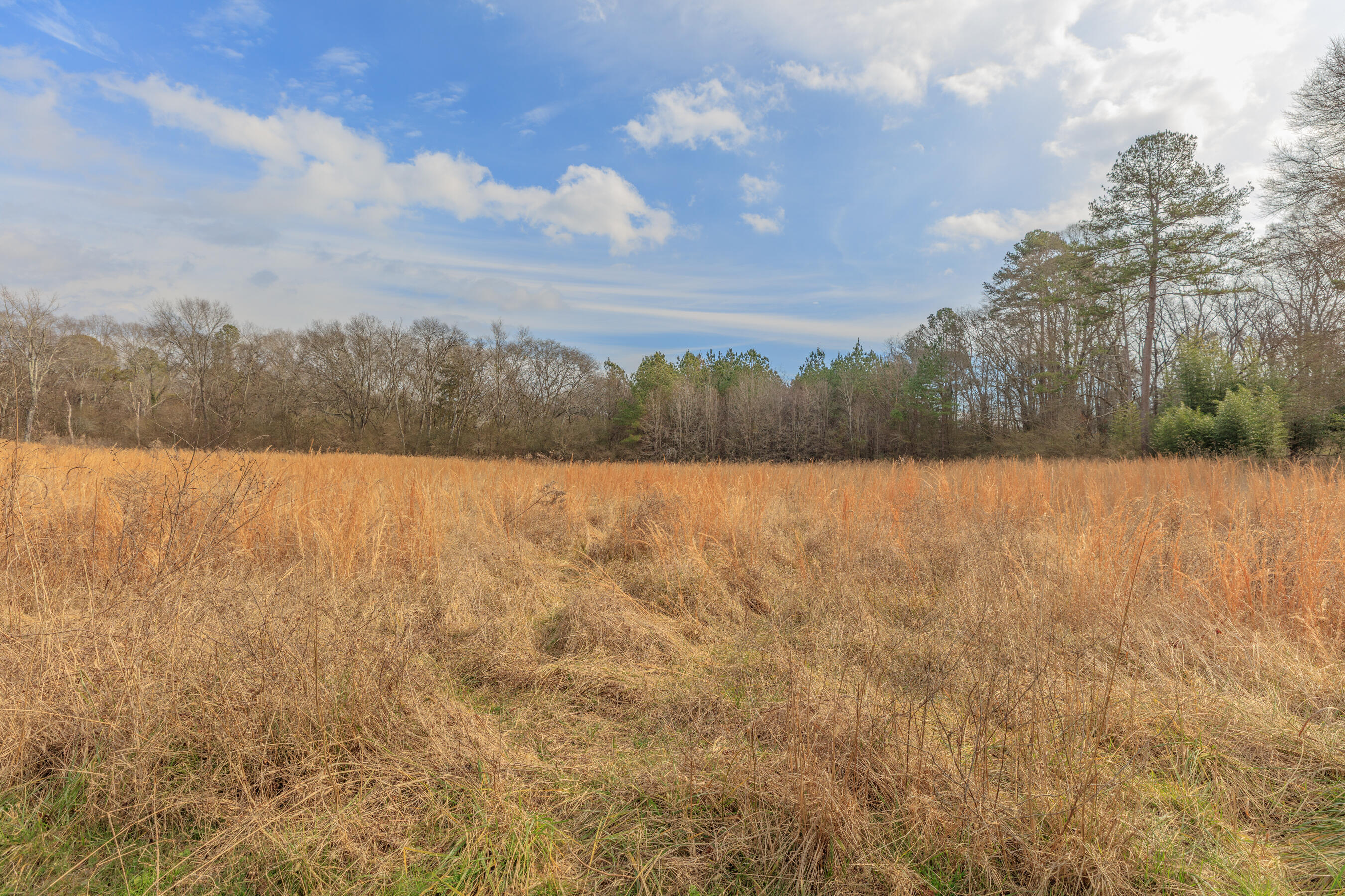 0 Walthall Avenue, Lots 4, 5, 6