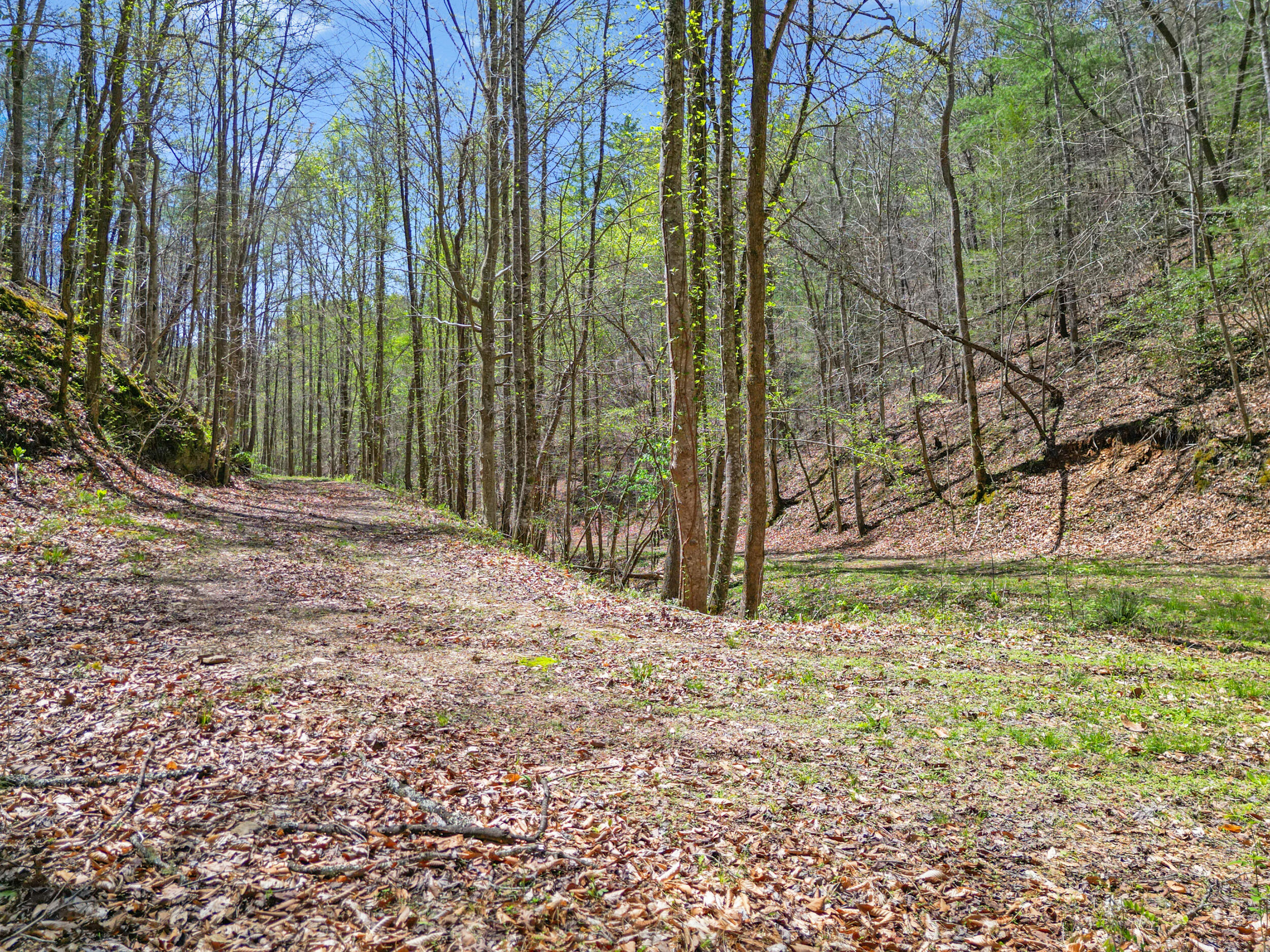 677 Kimsey Mountain Highway