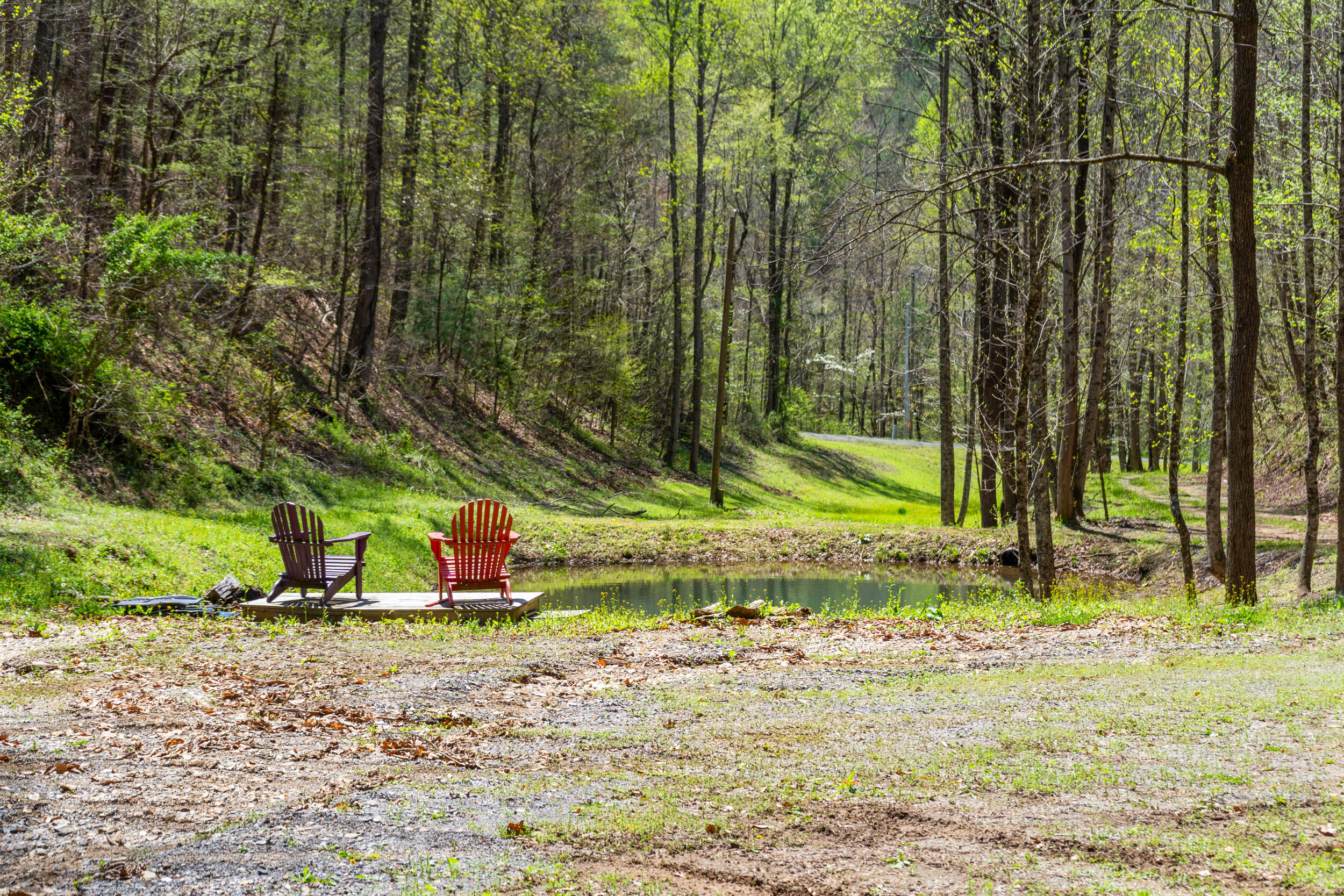 677 Kimsey Mountain Highway