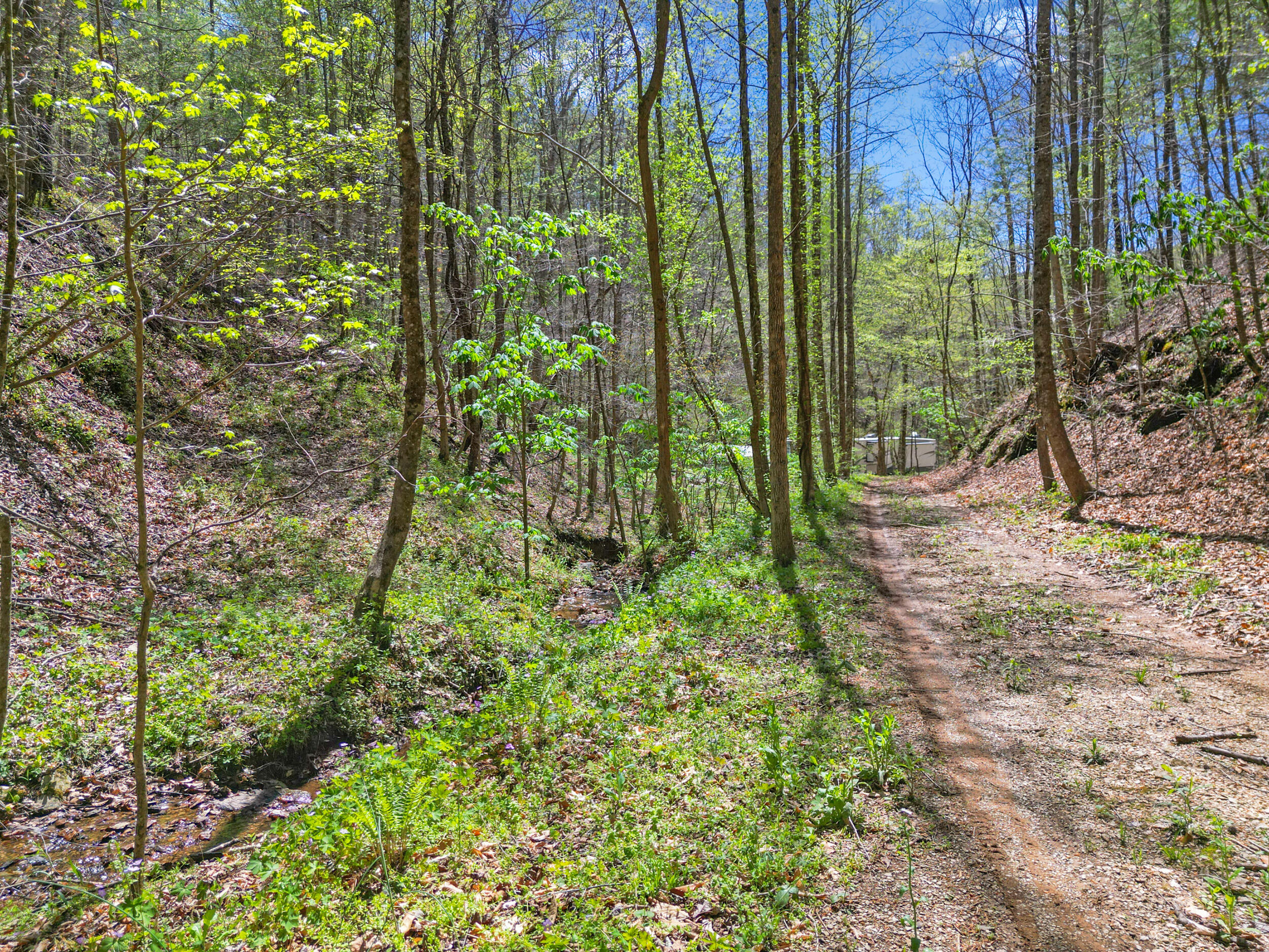 677 Kimsey Mountain Highway