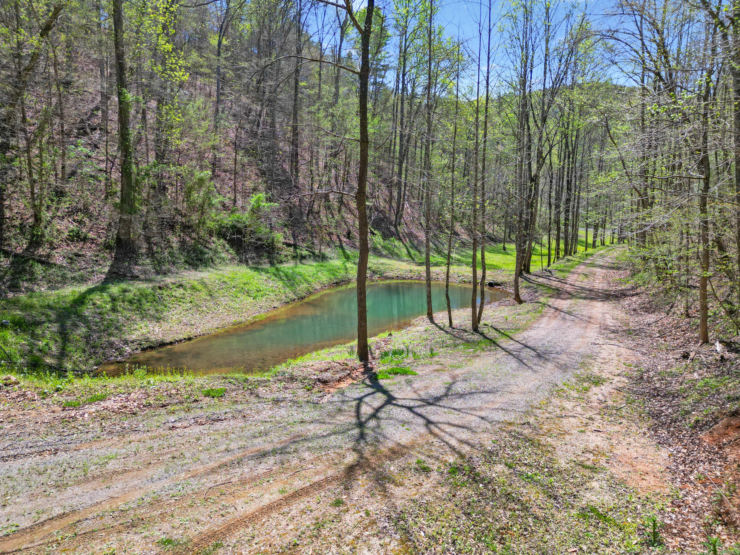 677 Kimsey Mountain Highway