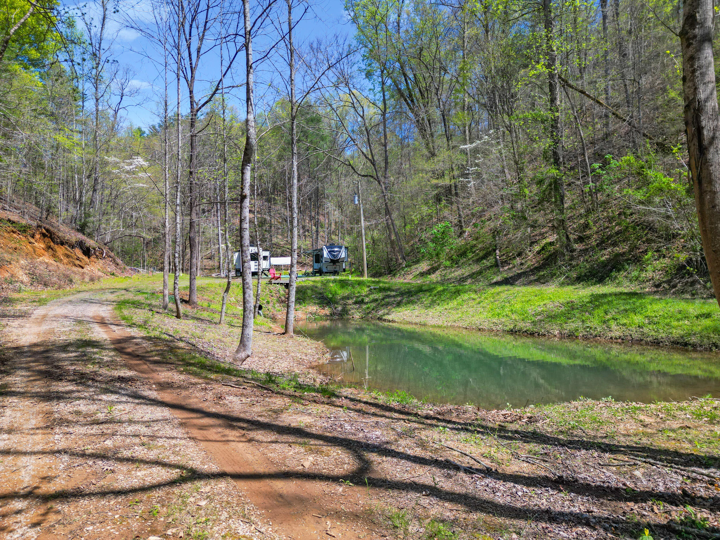 677 Kimsey Mountain Highway