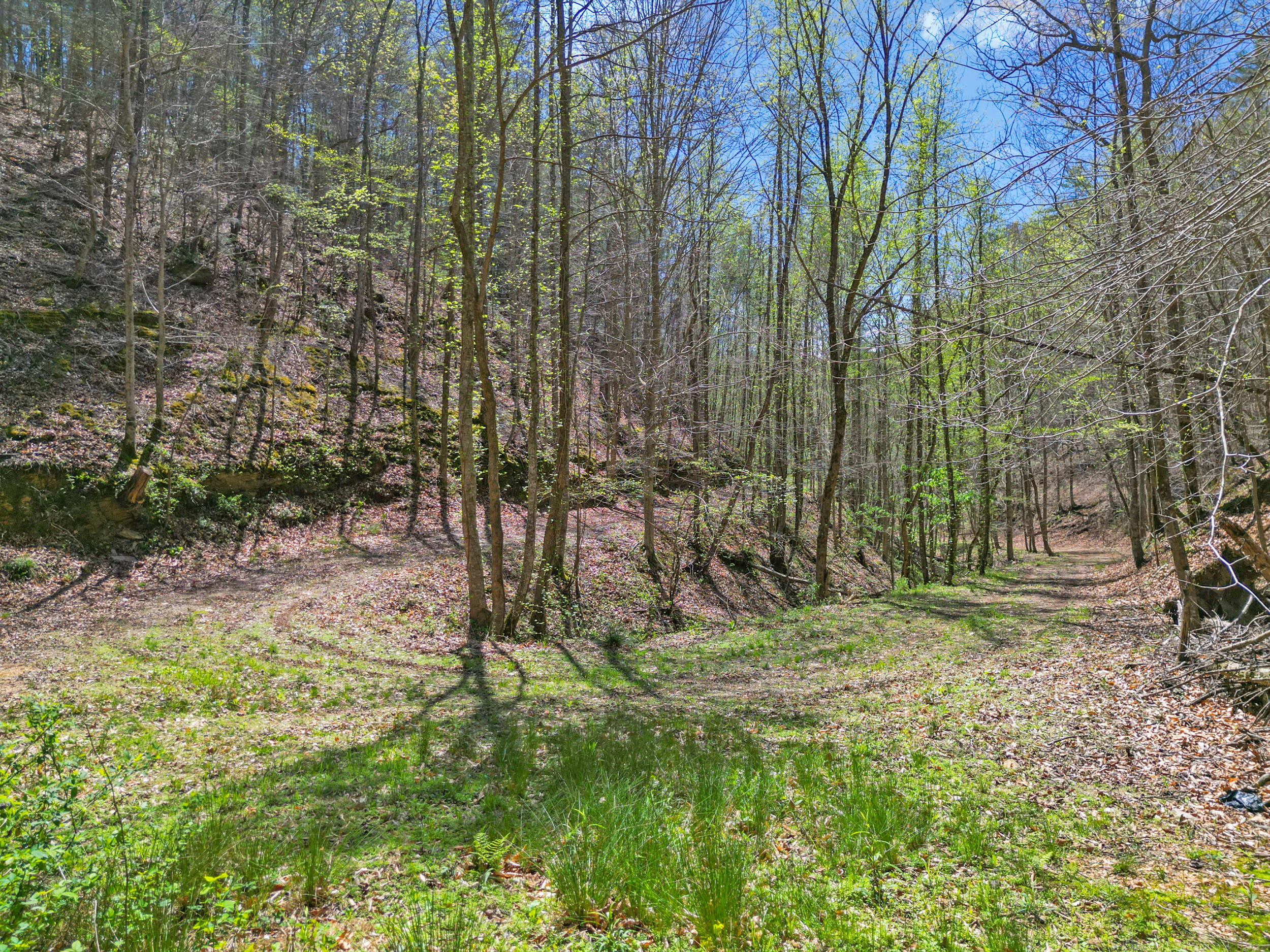 677 Kimsey Mountain Highway