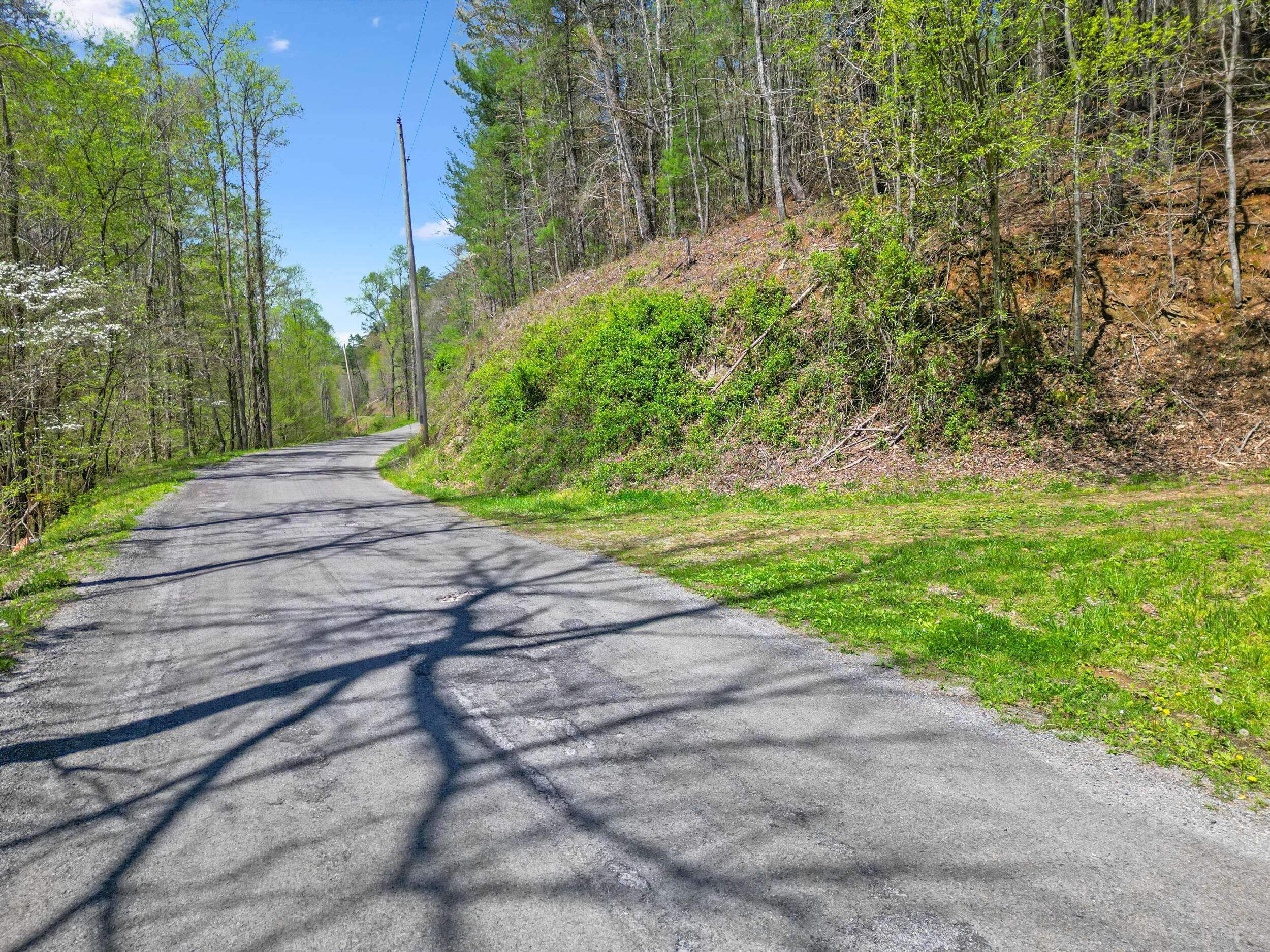 677 Kimsey Mountain Highway