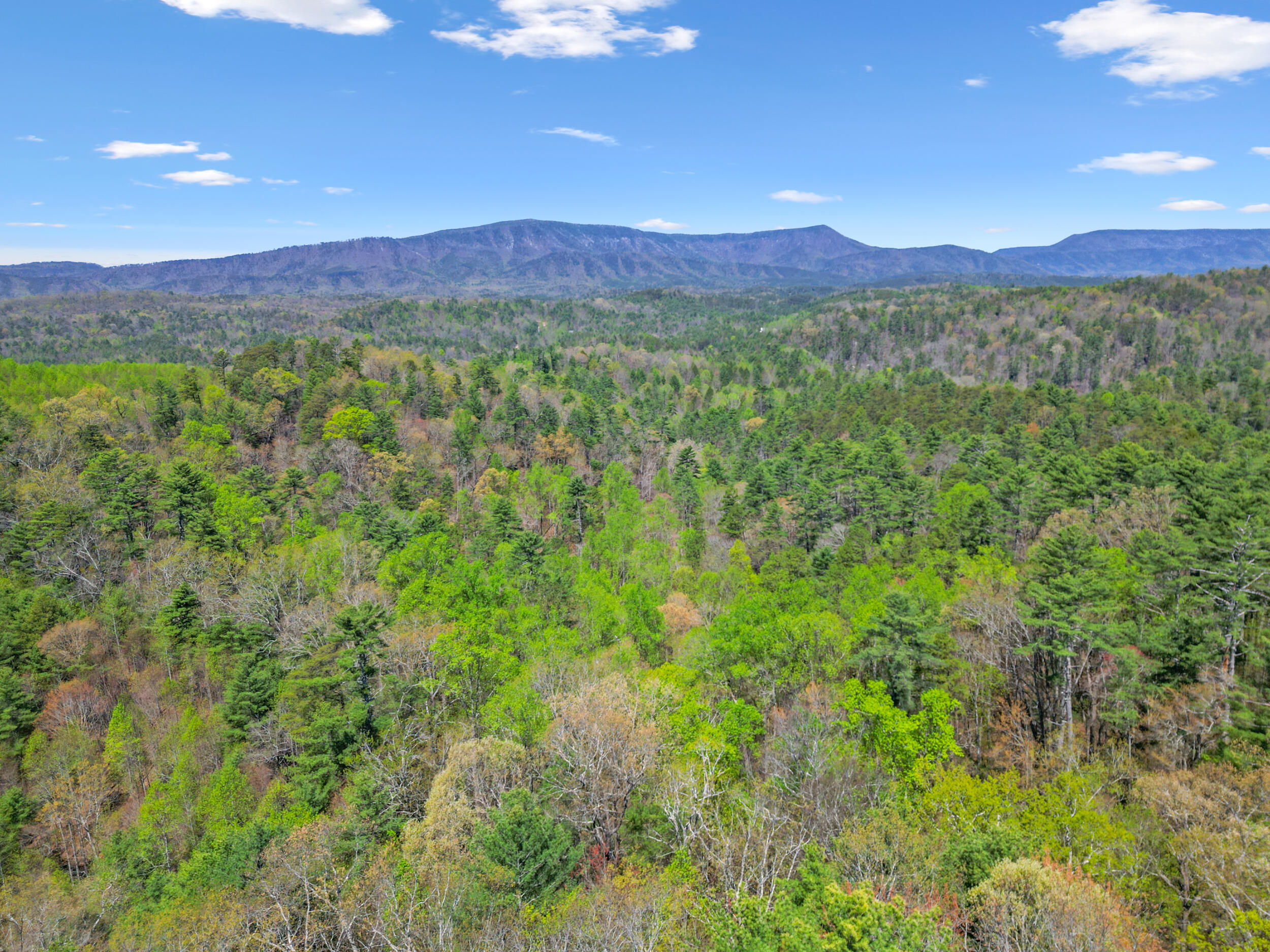 677 Kimsey Mountain Highway