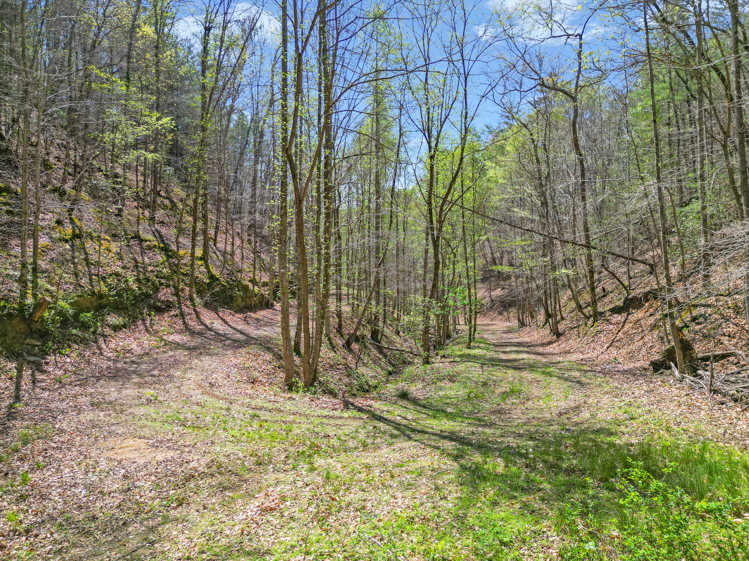 677 Kimsey Mountain Highway