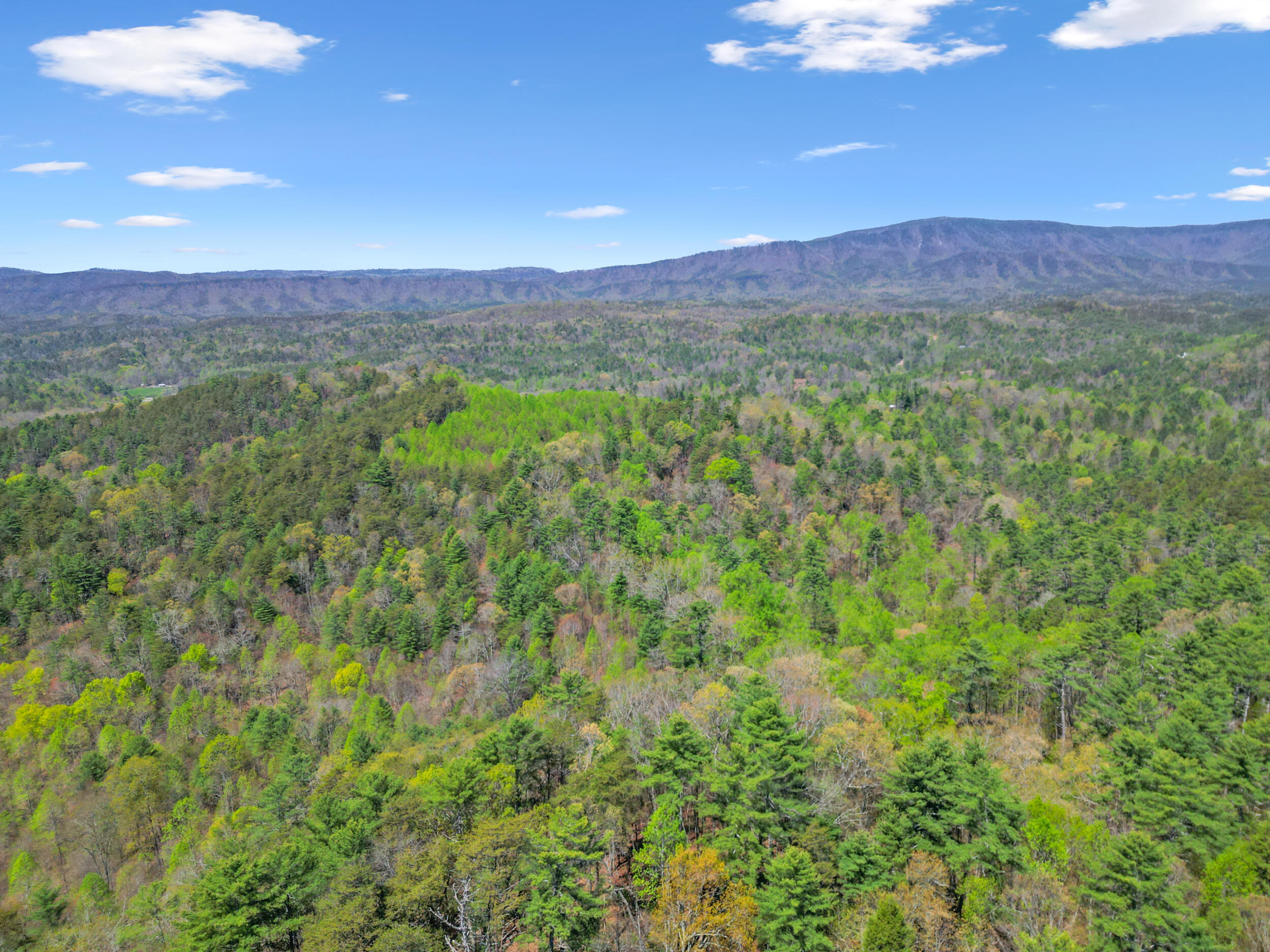 677 Kimsey Mountain Highway