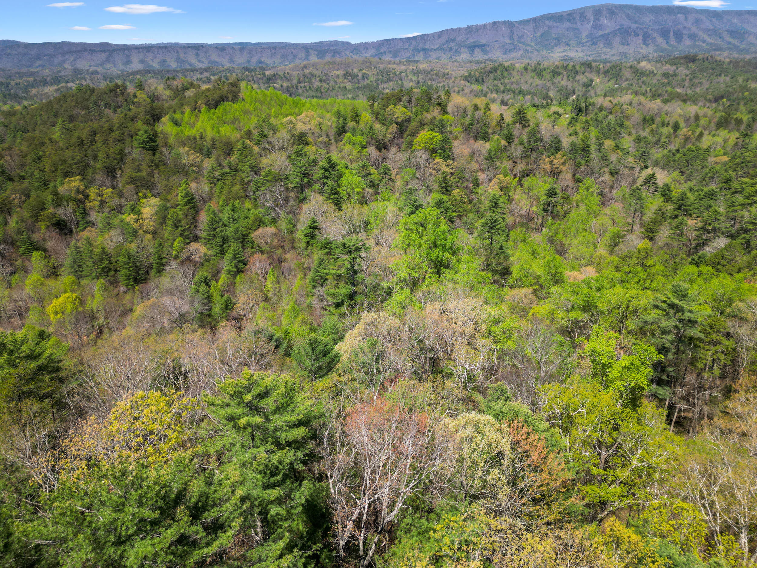 677 Kimsey Mountain Highway