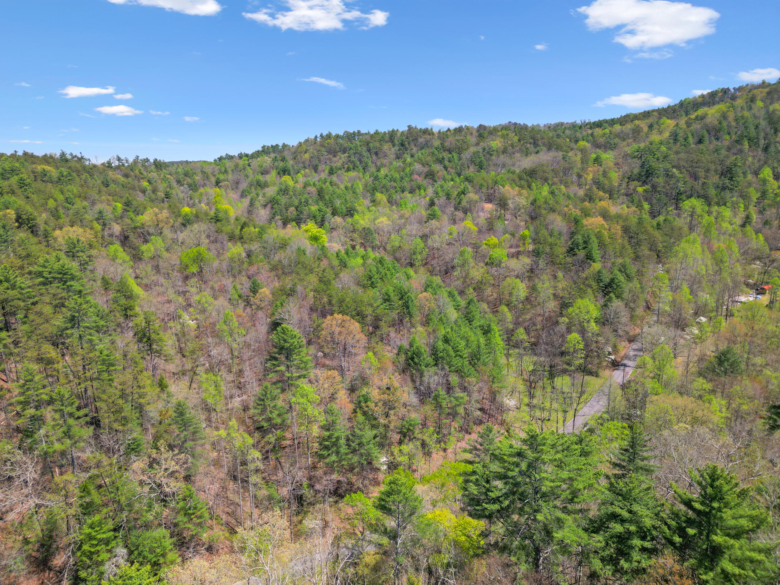 677 Kimsey Mountain Highway