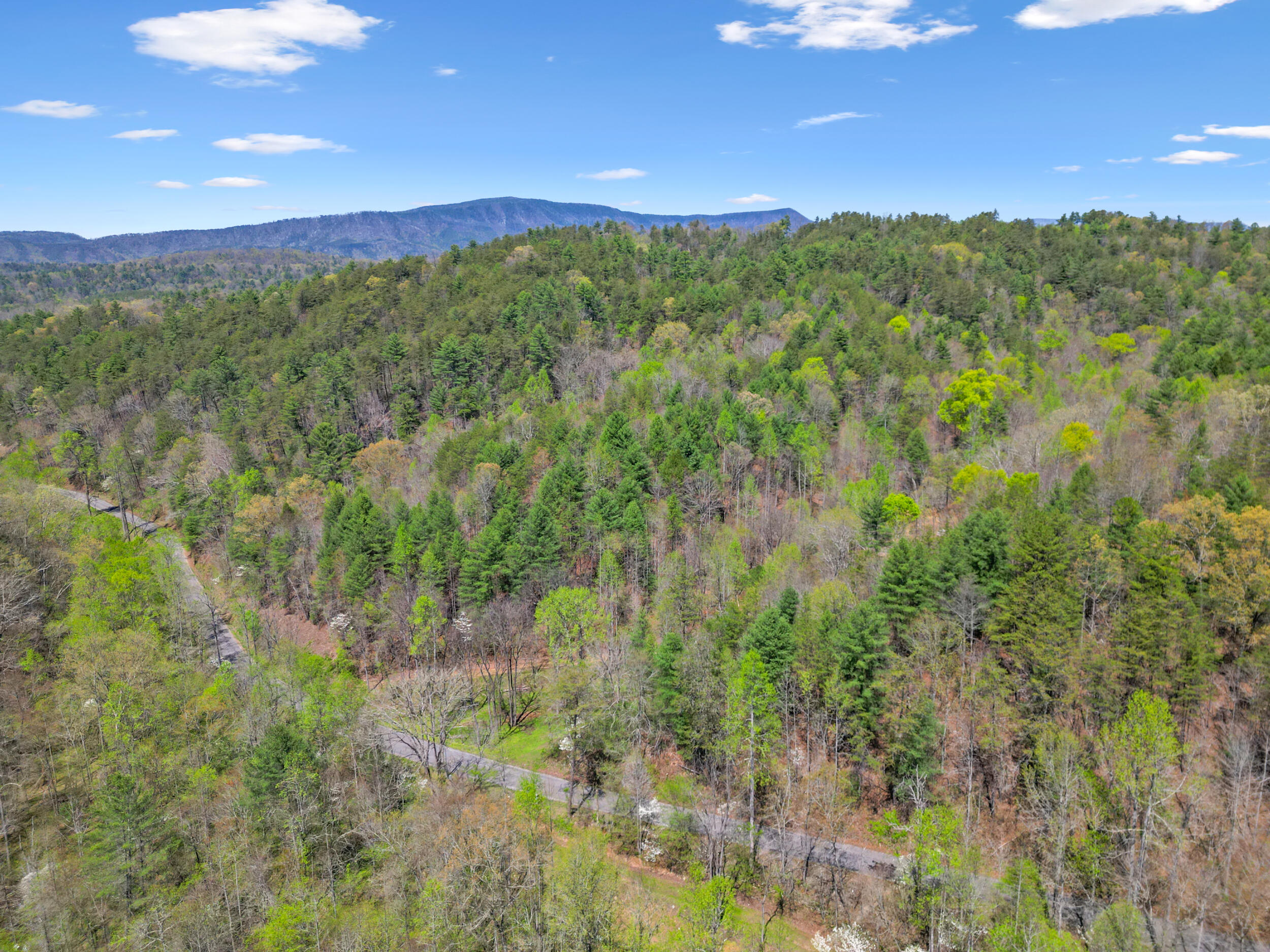 677 Kimsey Mountain Highway