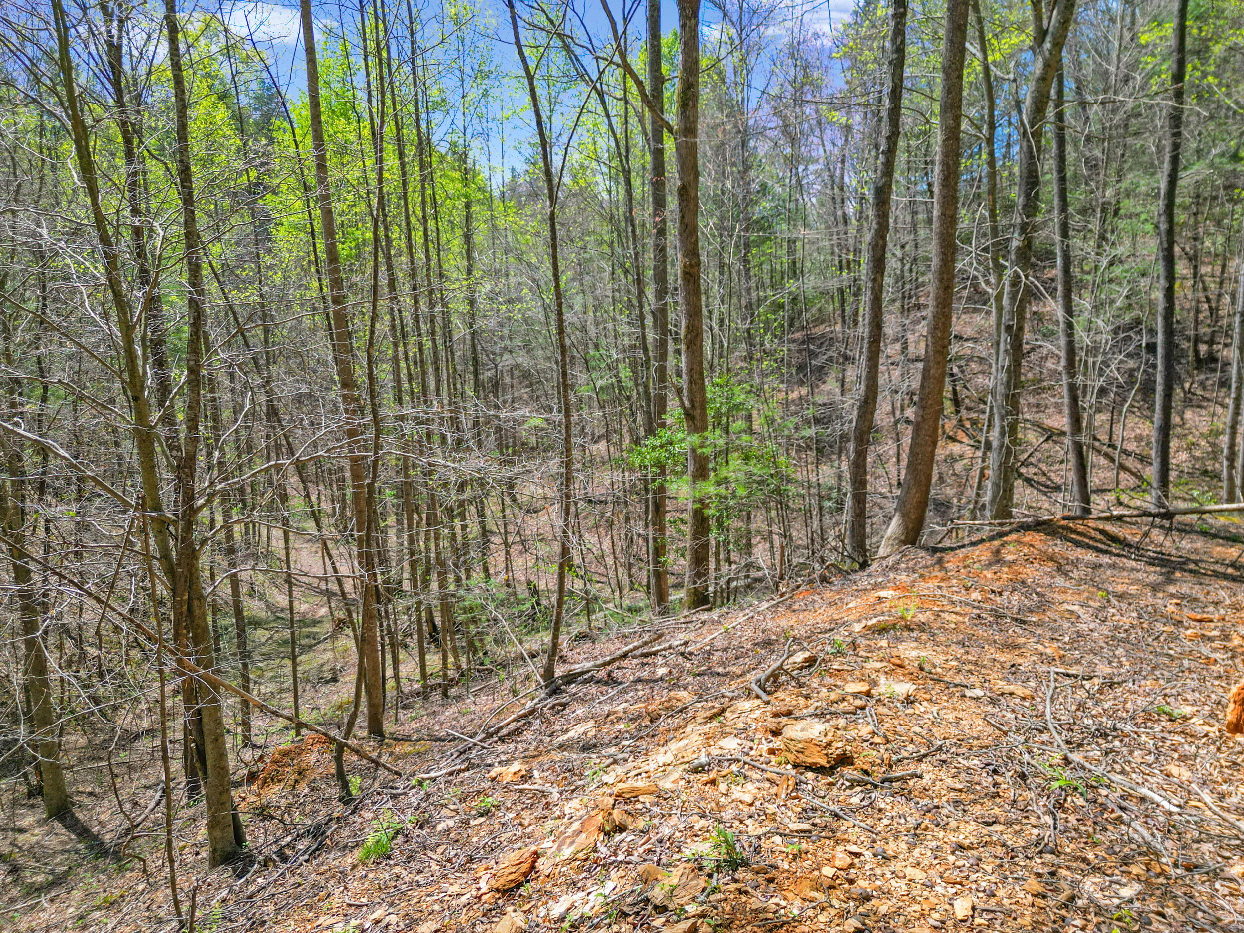 677 Kimsey Mountain Highway