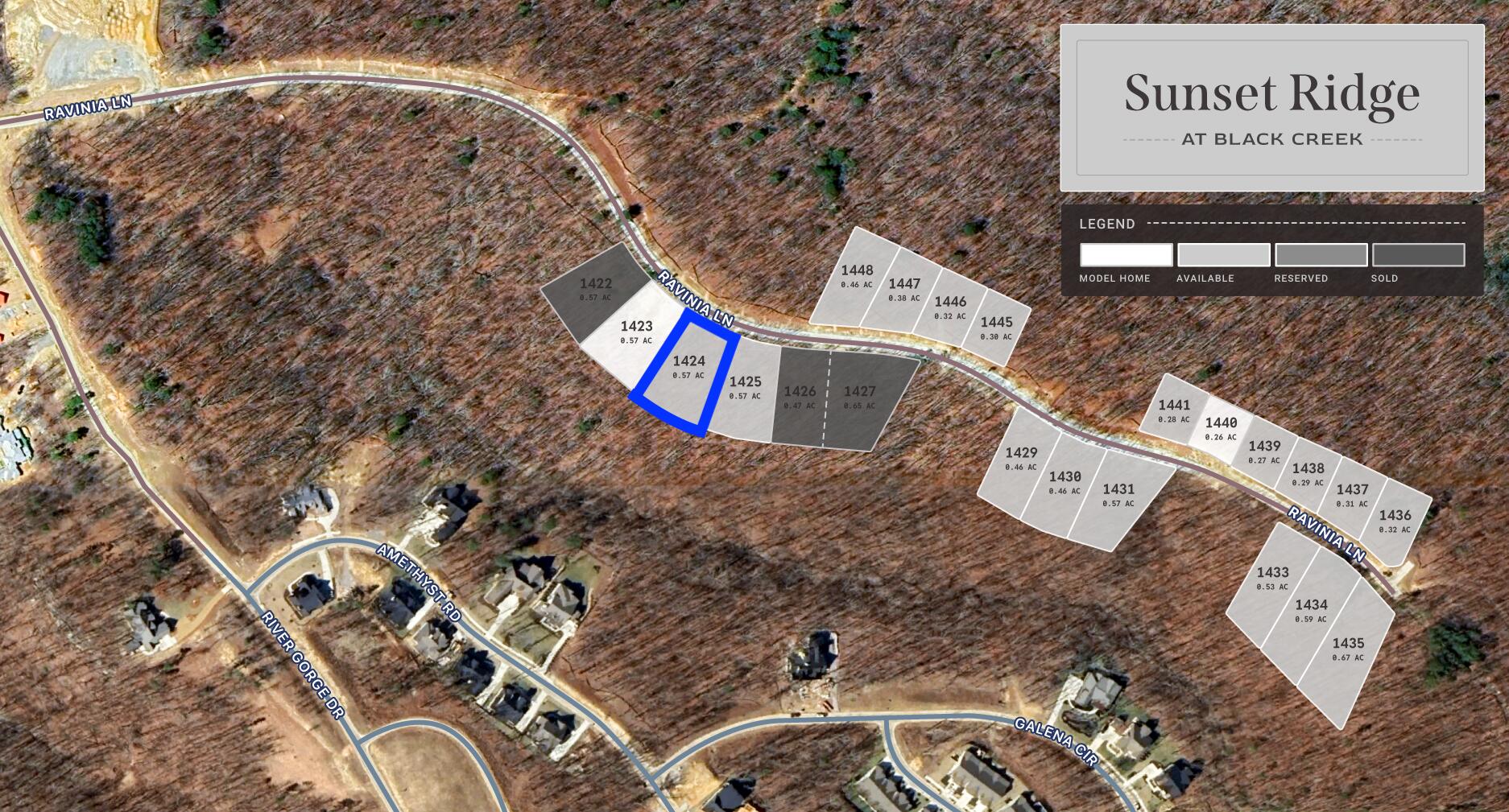 4853 Ravinia Lane, 1424