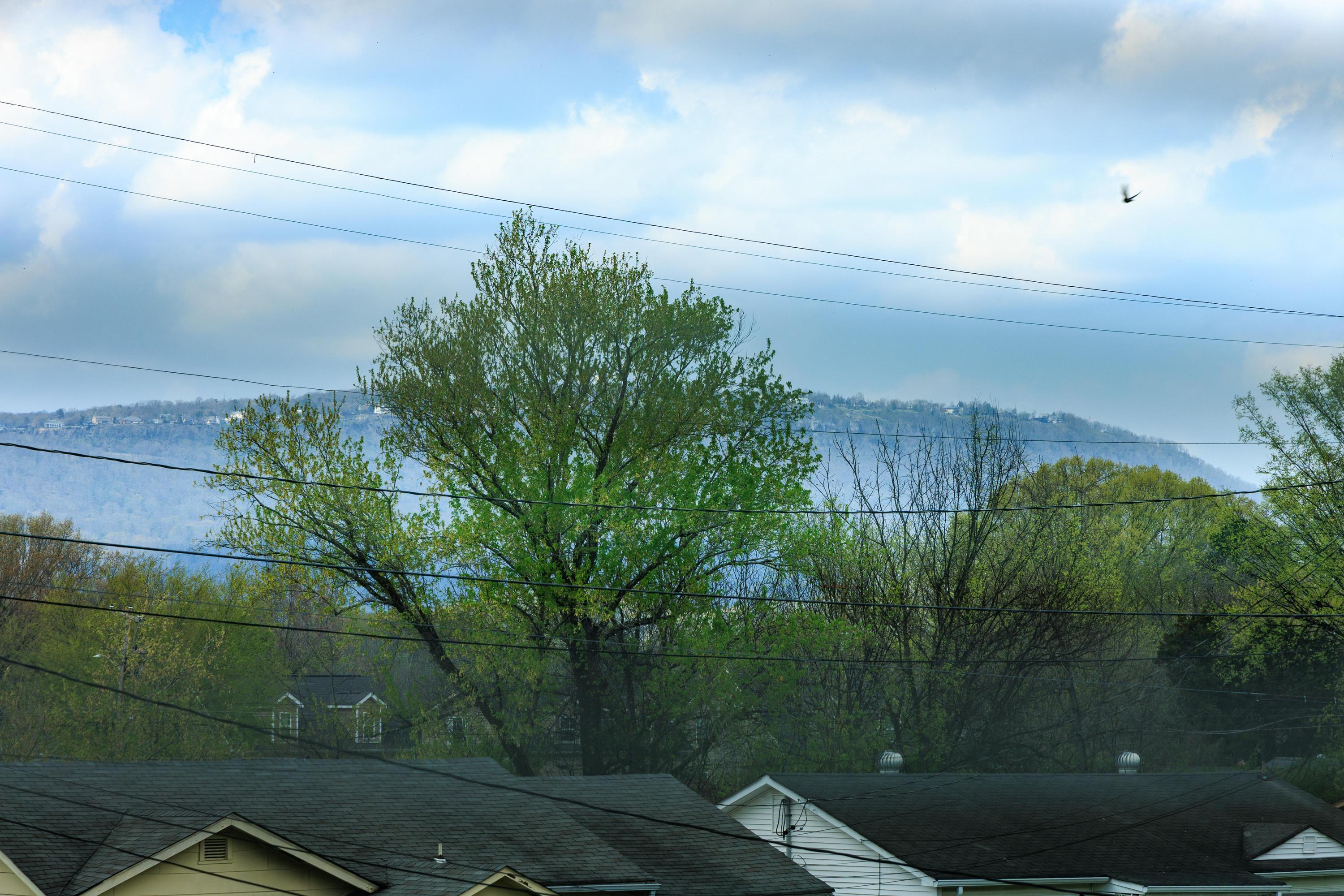 828 Henderson Avenue