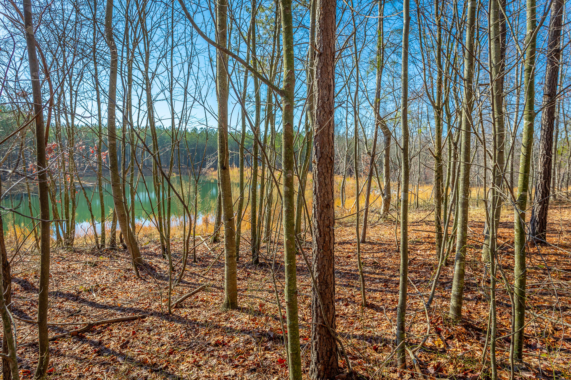 0 Cherokee Path, 242