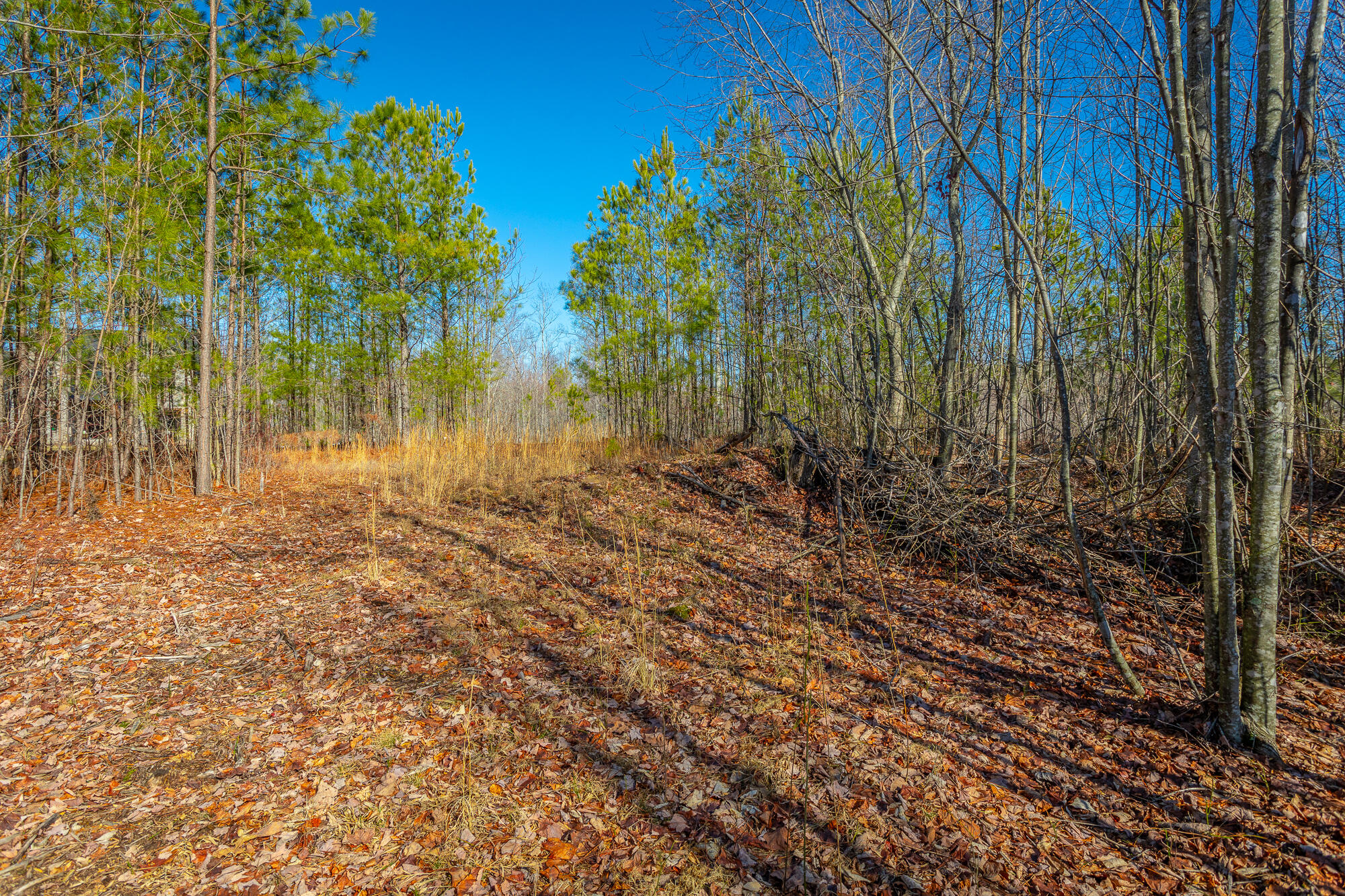 0 Cherokee Path, 242