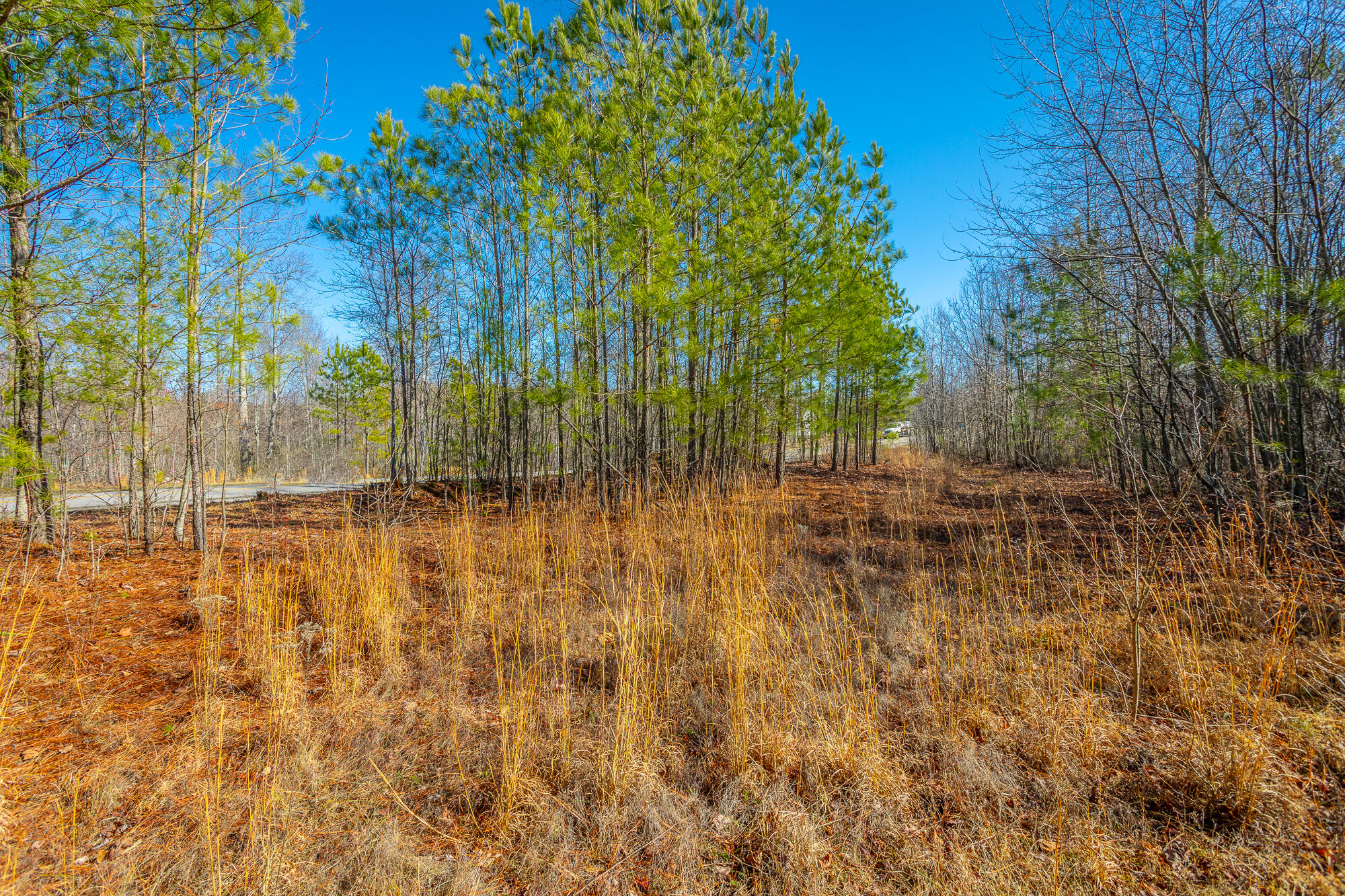 0 Cherokee Path, 242