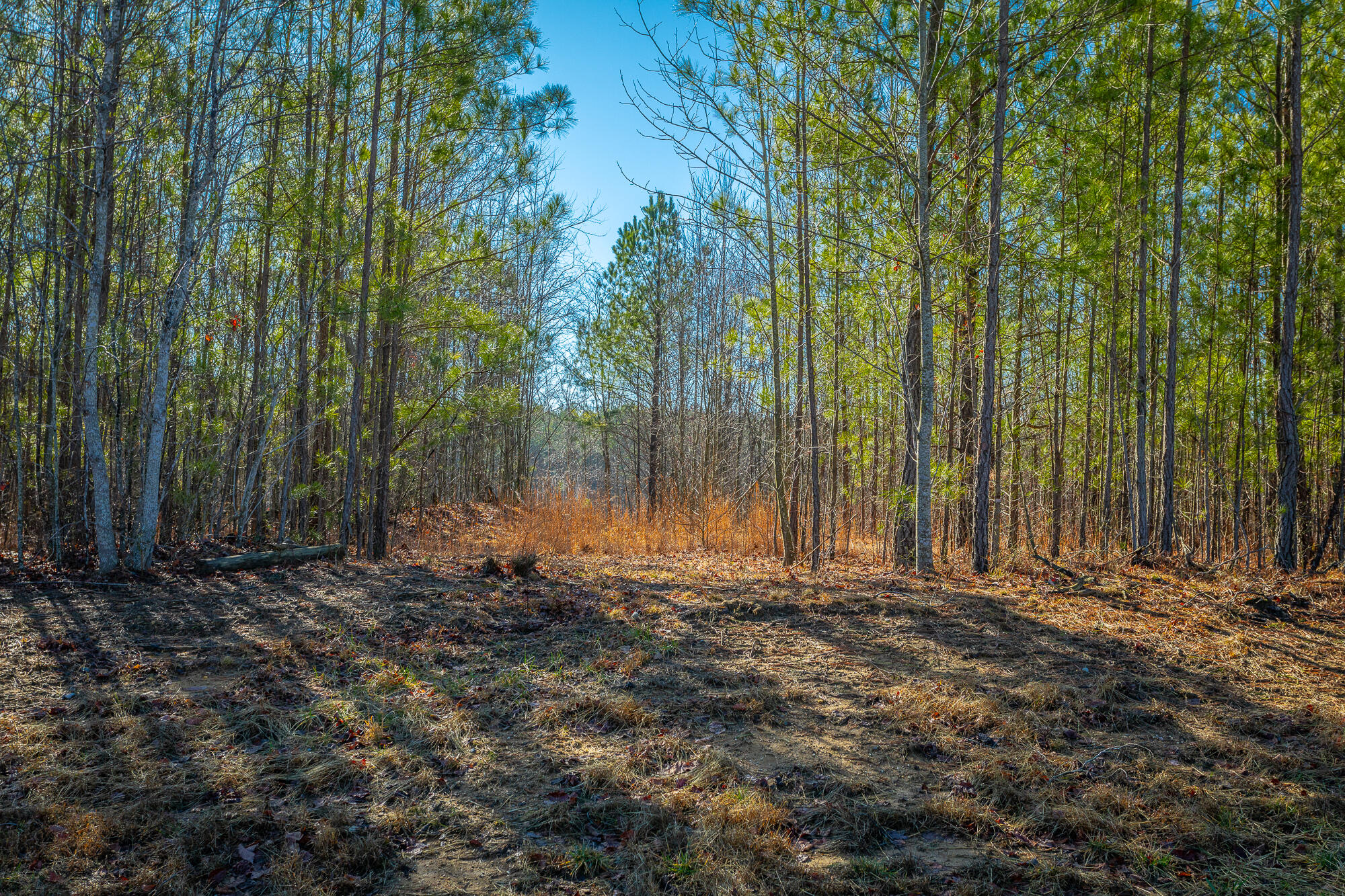 0 Cherokee Path, 242