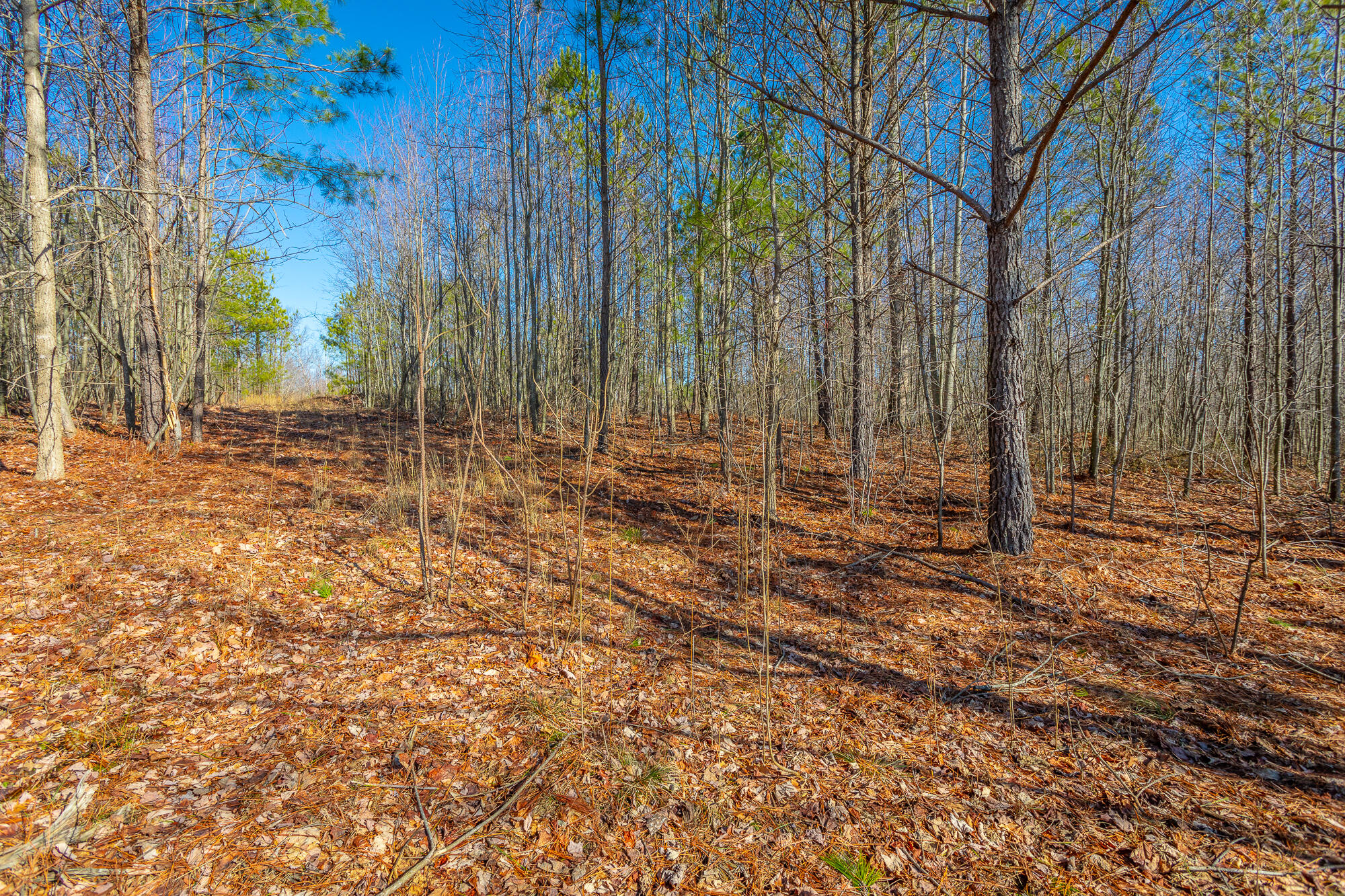 0 Cherokee Path, 242