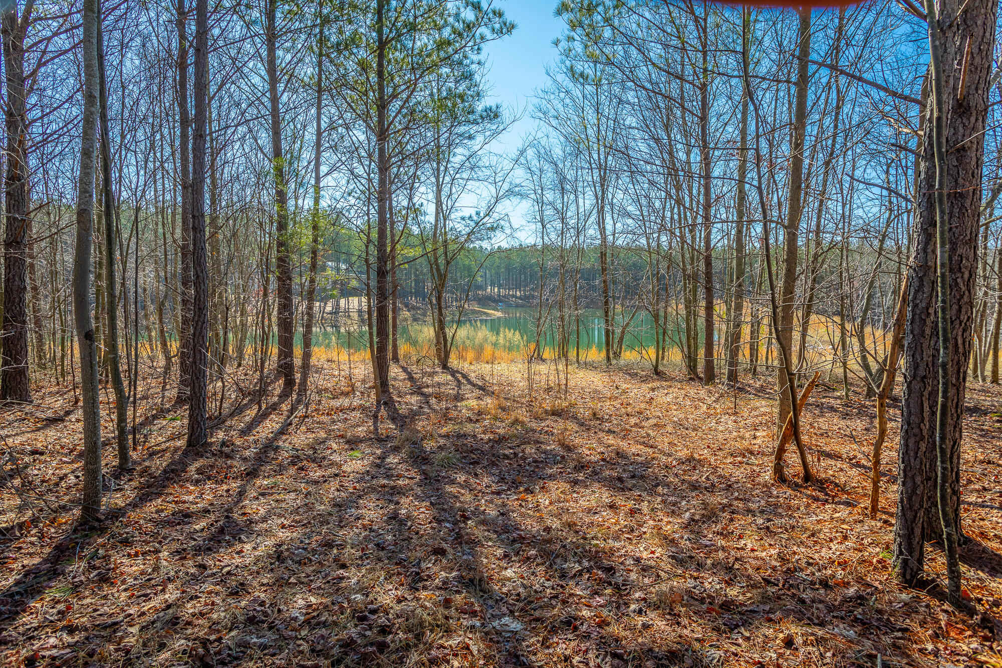 0 Cherokee Path, 242