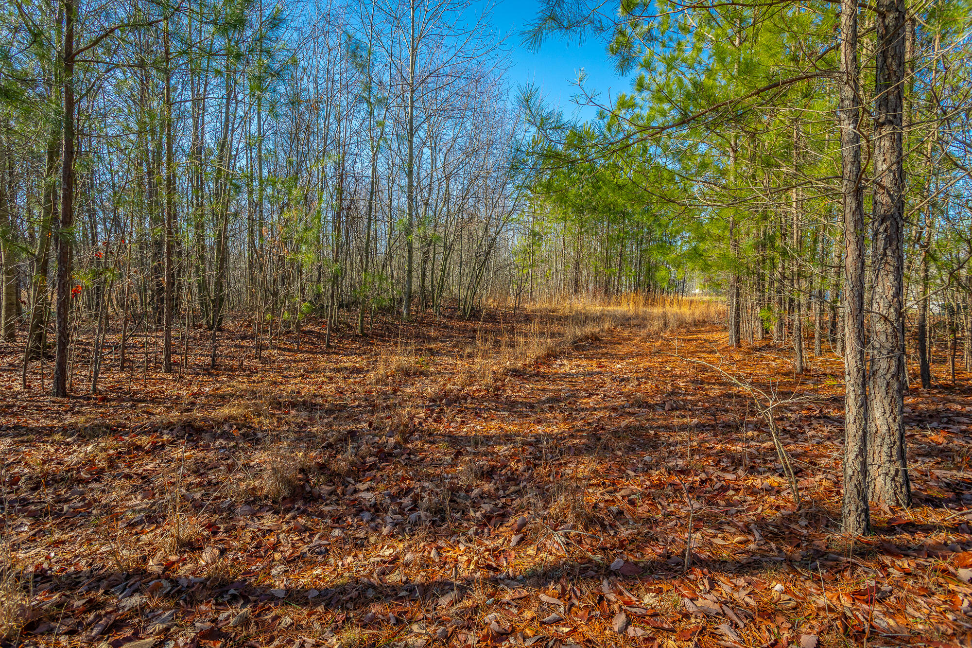 0 Cherokee Path, 242