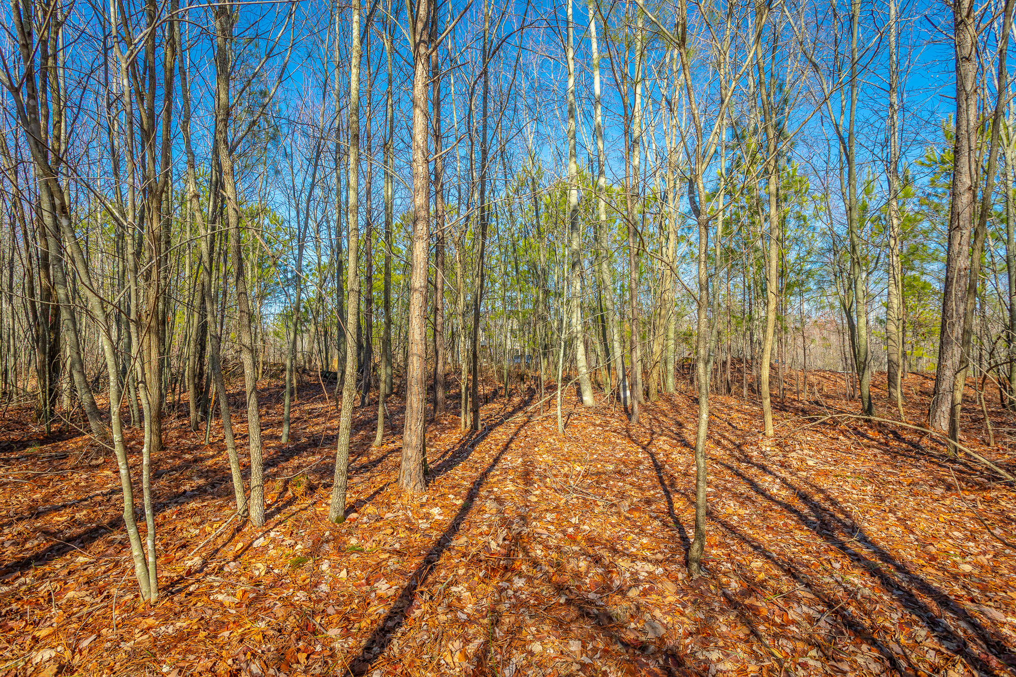 0 Cherokee Path, 242