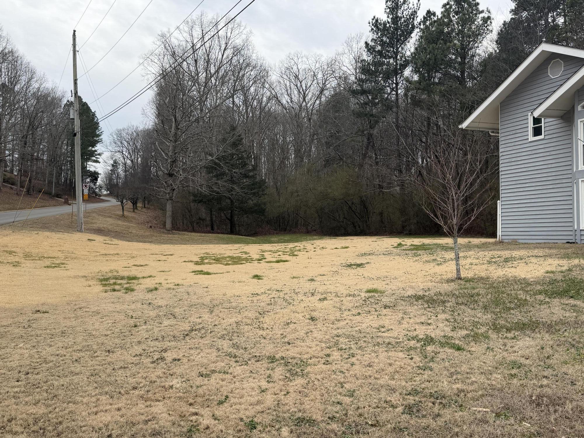 54 Hidden Trace Drive